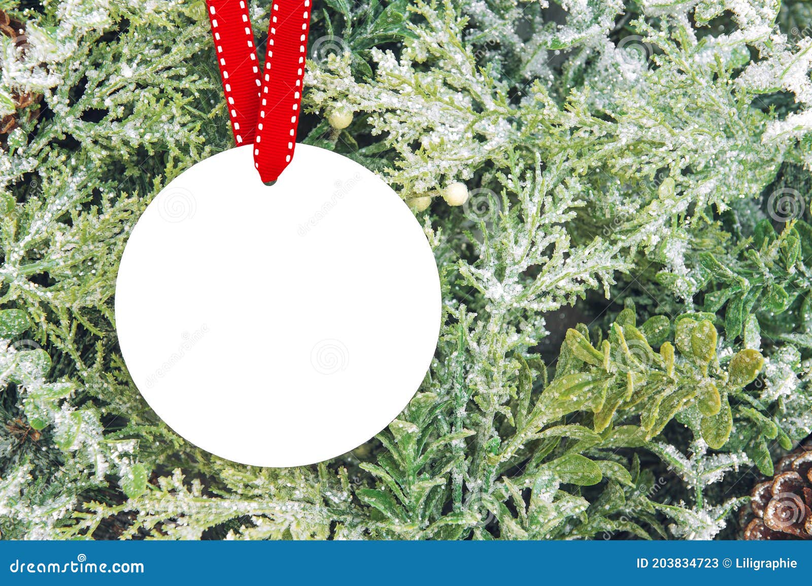 Download 26 224 Ornament Mockup Photos Free Royalty Free Stock Photos From Dreamstime