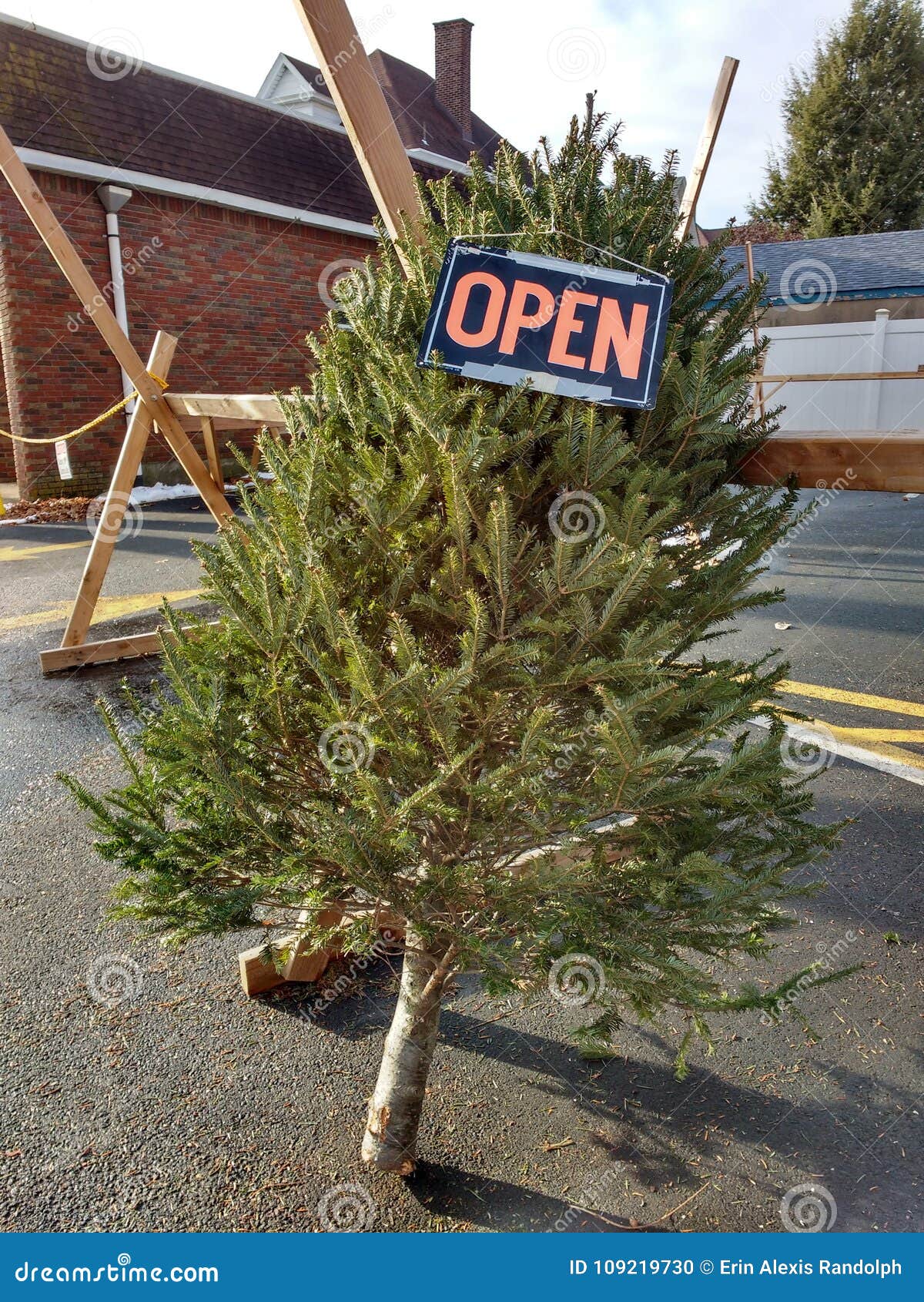 Christmas Tree for Sale, Open for Business Editorial Image Image of