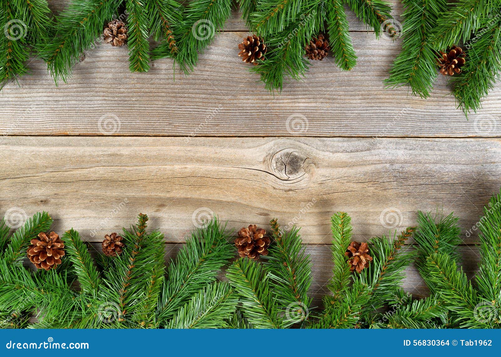 Christmas Holiday Border with Evergreen Branches on Rustic Cedar Stock ...