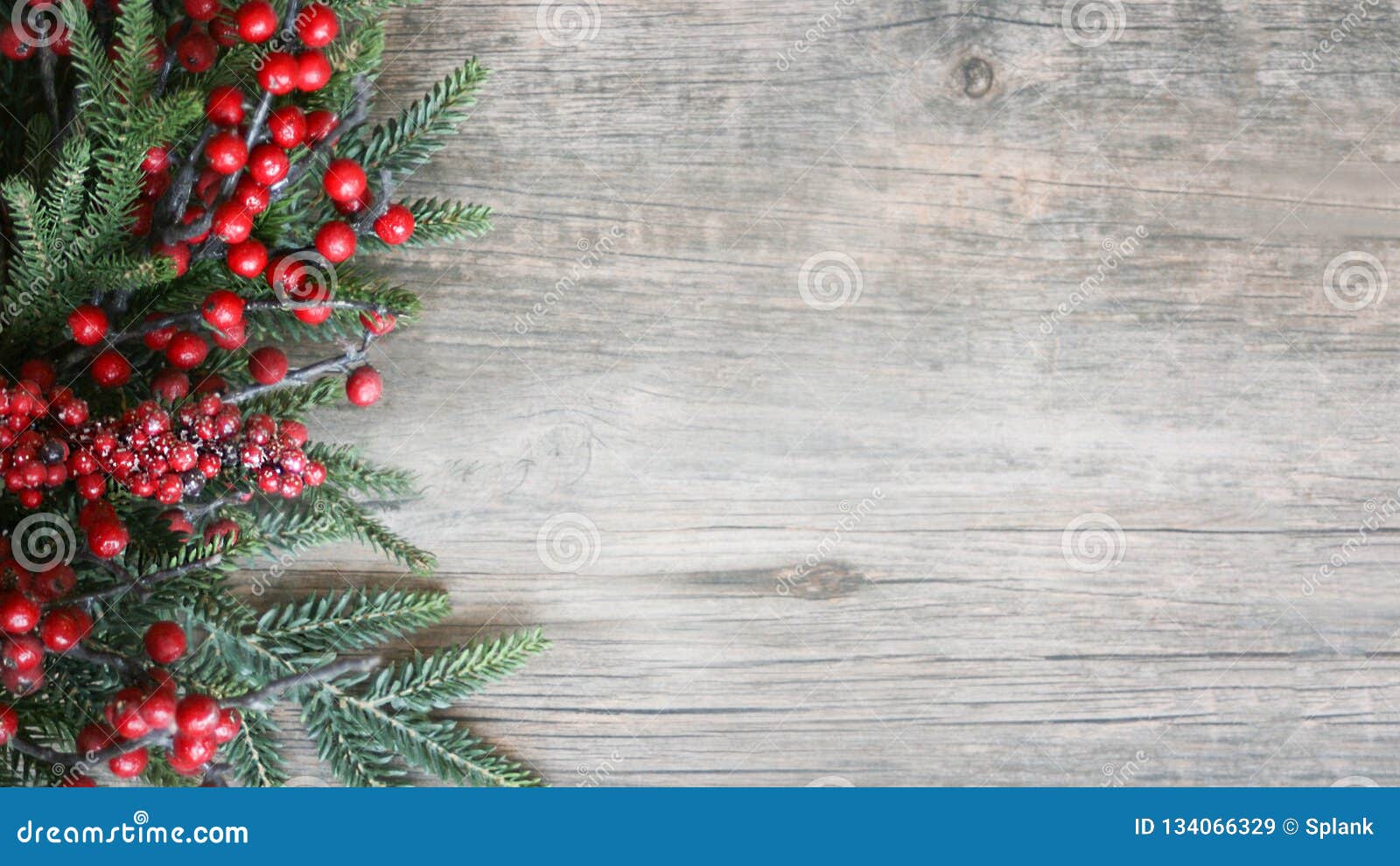 holiday evergreen branches and berries over rustic wood background