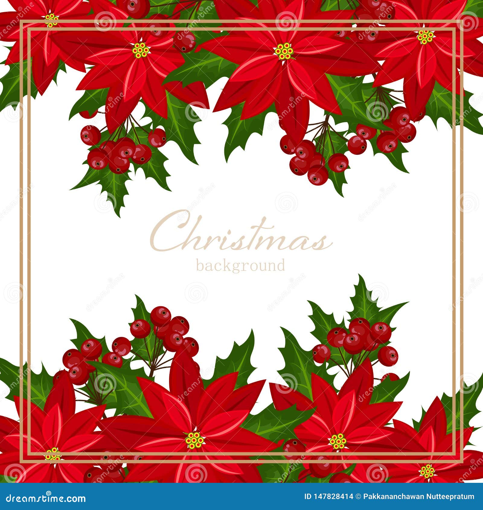 christmas holiday season background with red poinsettia christmas flower and holly berries.