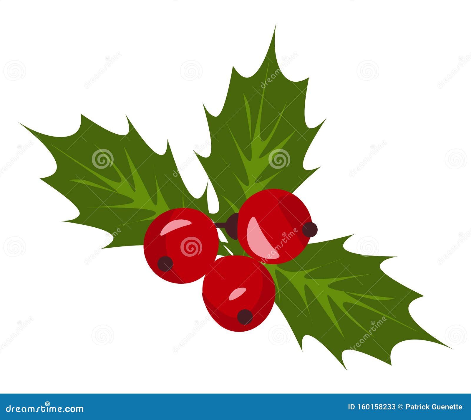 Christmas Holly, mistletoe, christmas berries By TanySLDesigns