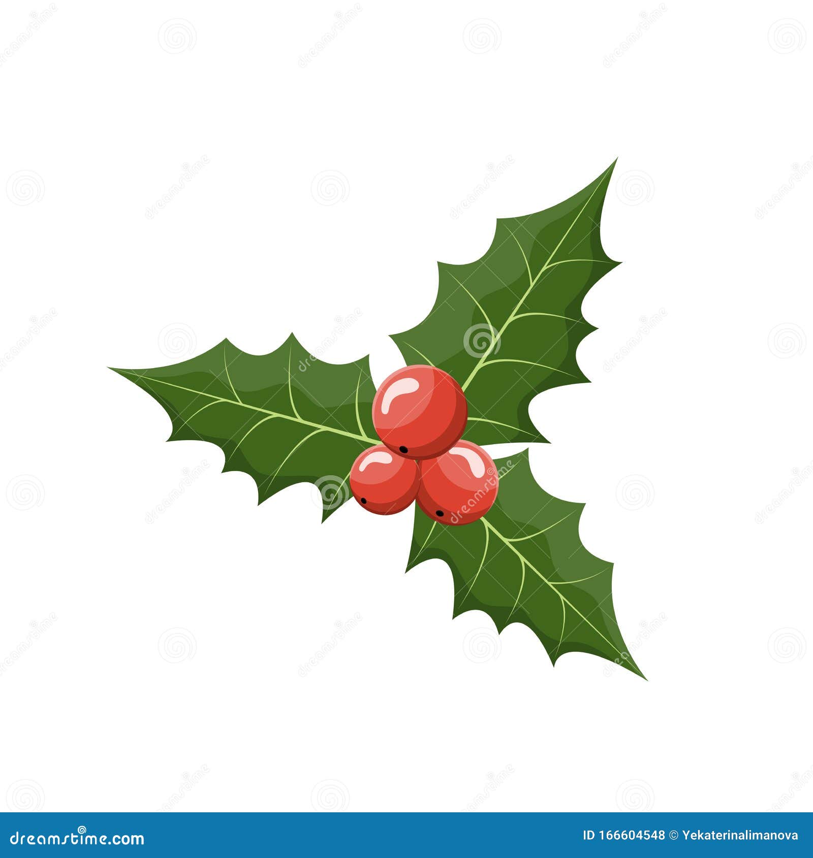 How to draw Christmas holly 