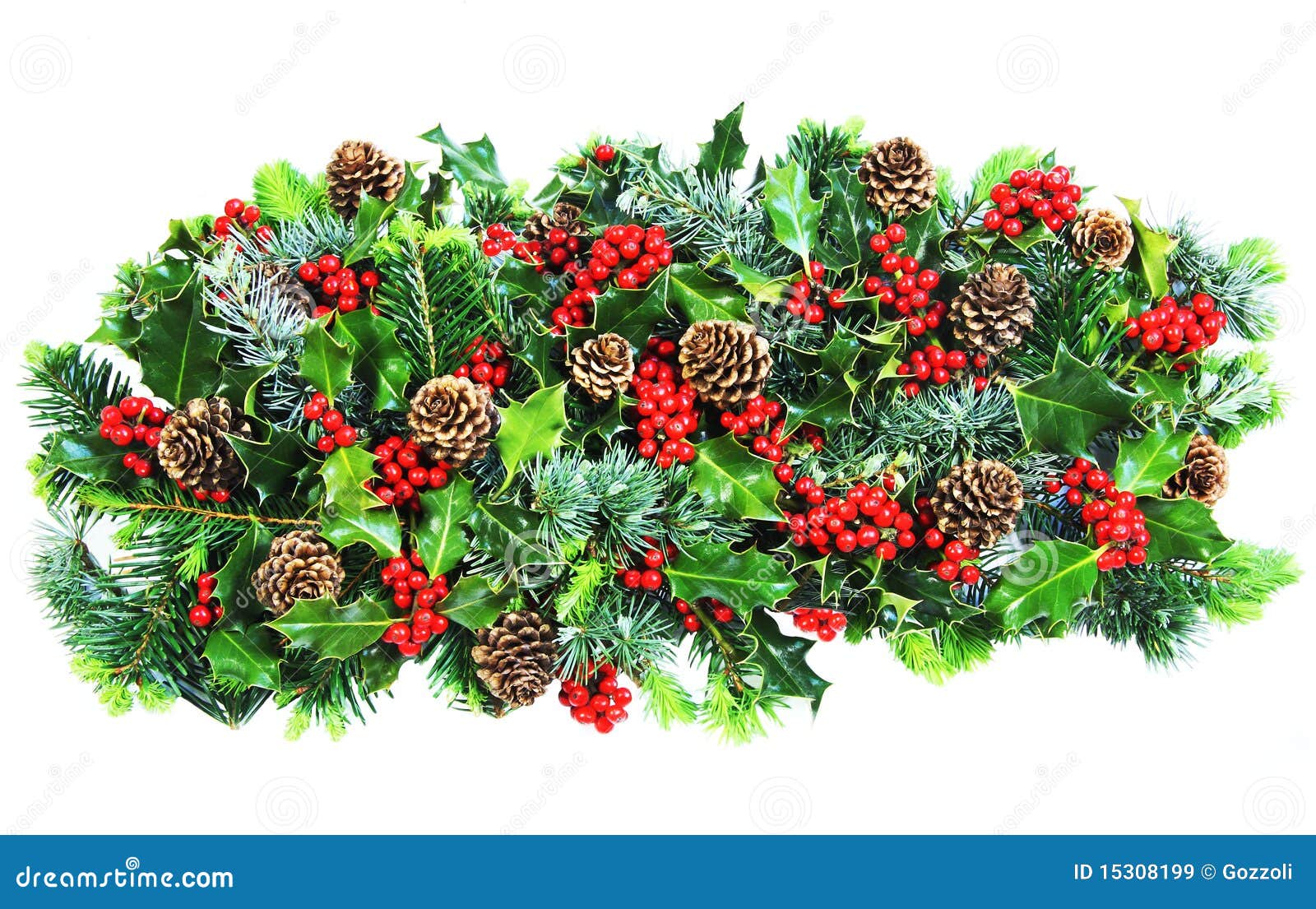 Christmas Holly and Foliage Stock Image Image of nature, christmas 15308199