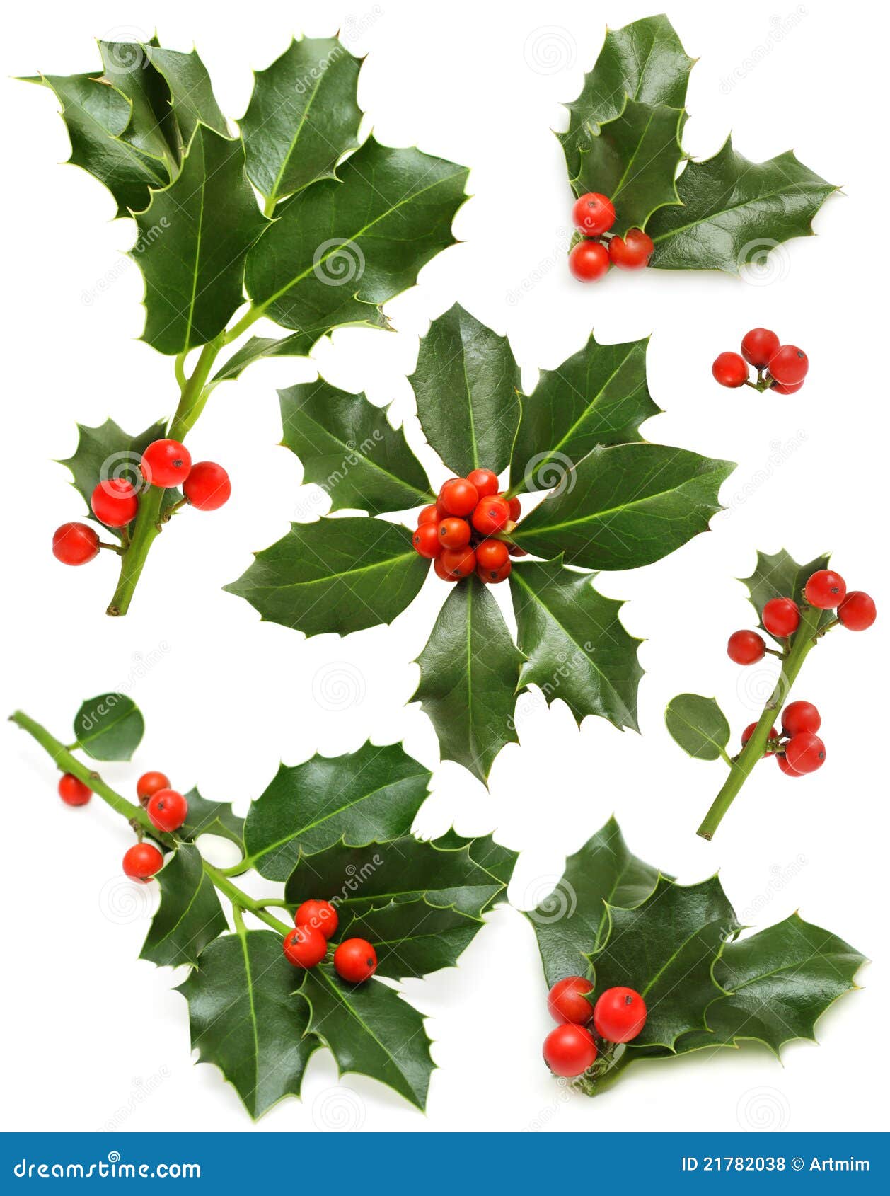 Christmas Holly Branches Background Wallpaper RoyaltyFree Stock Photo