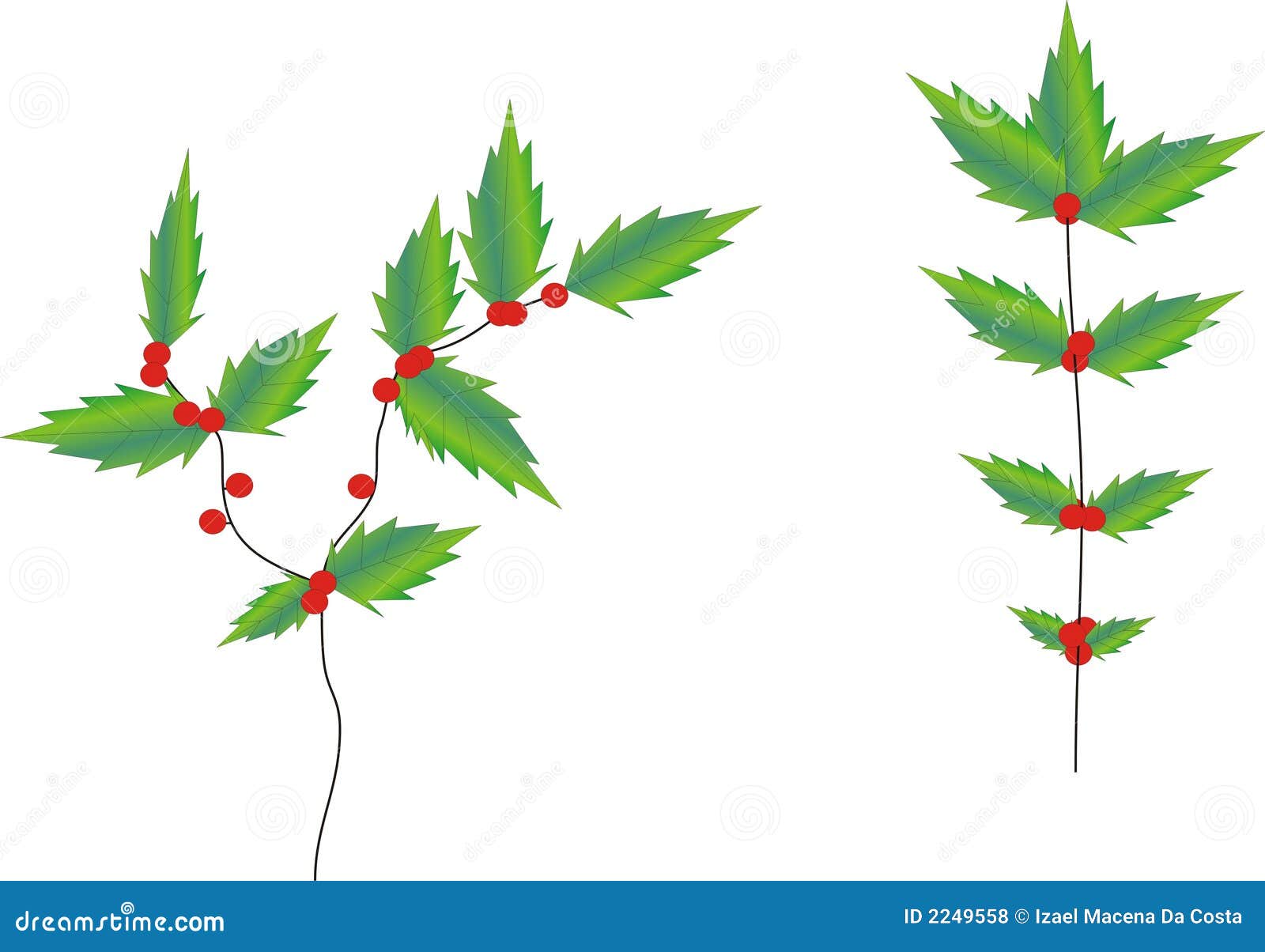 christmas ivy clipart - photo #13