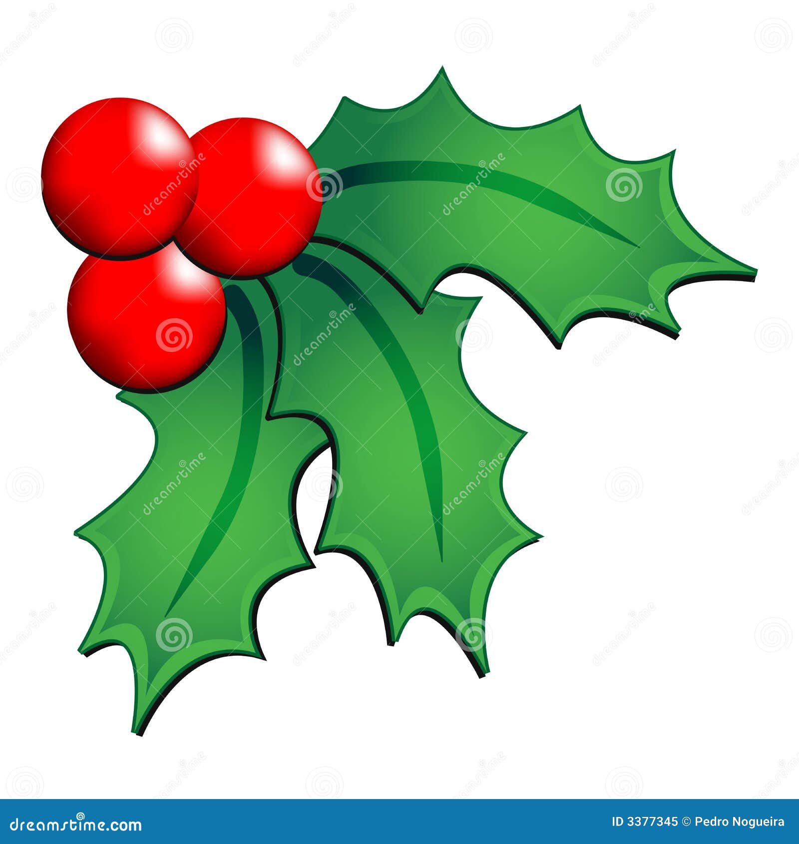 Christmas Holly Ornament Royalty Free Stock Photo - Image: 3377345