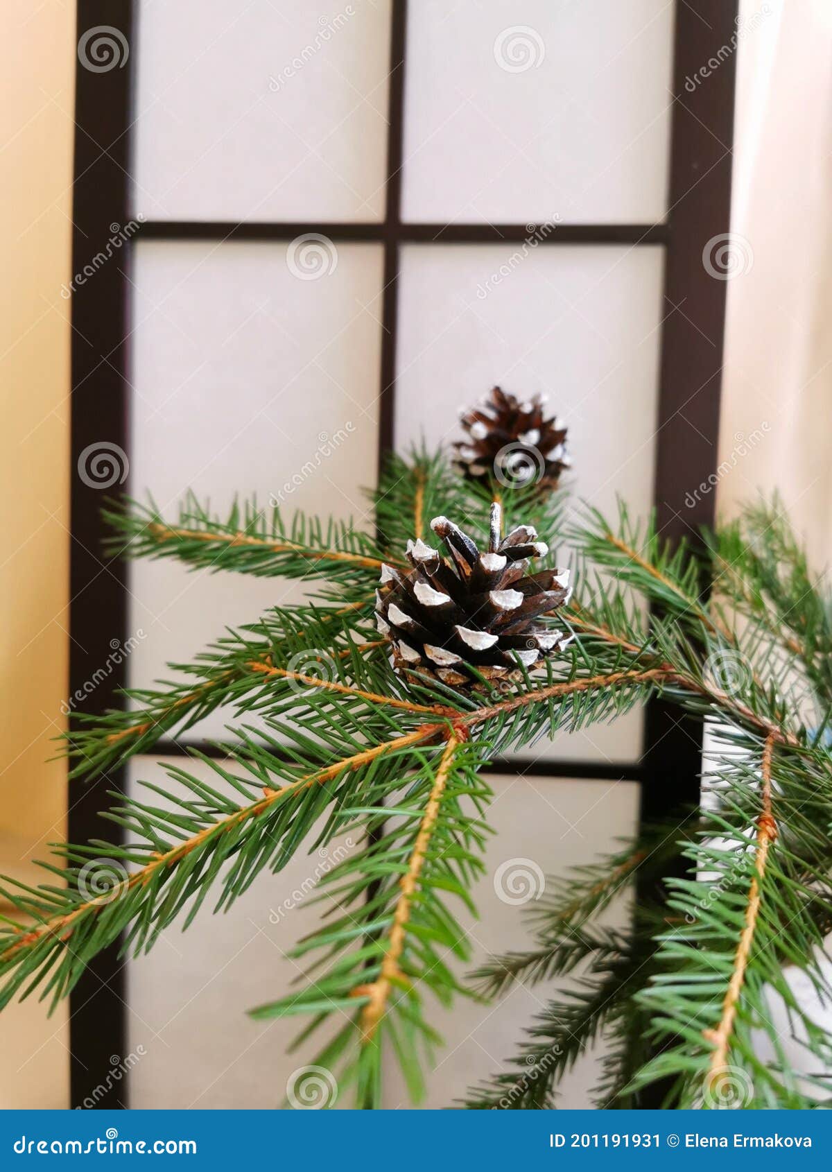 christmas holydays and pine cone