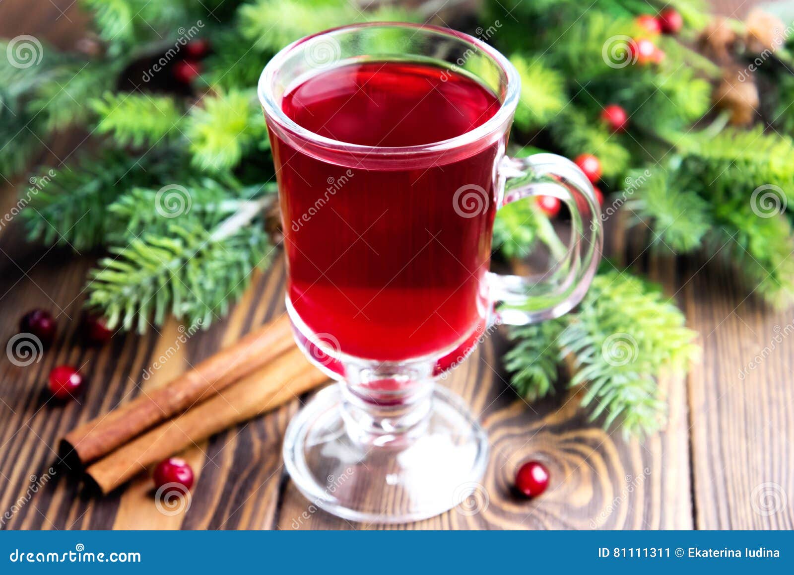 Christmas hot punch stock image. Image of cranberries 81111311