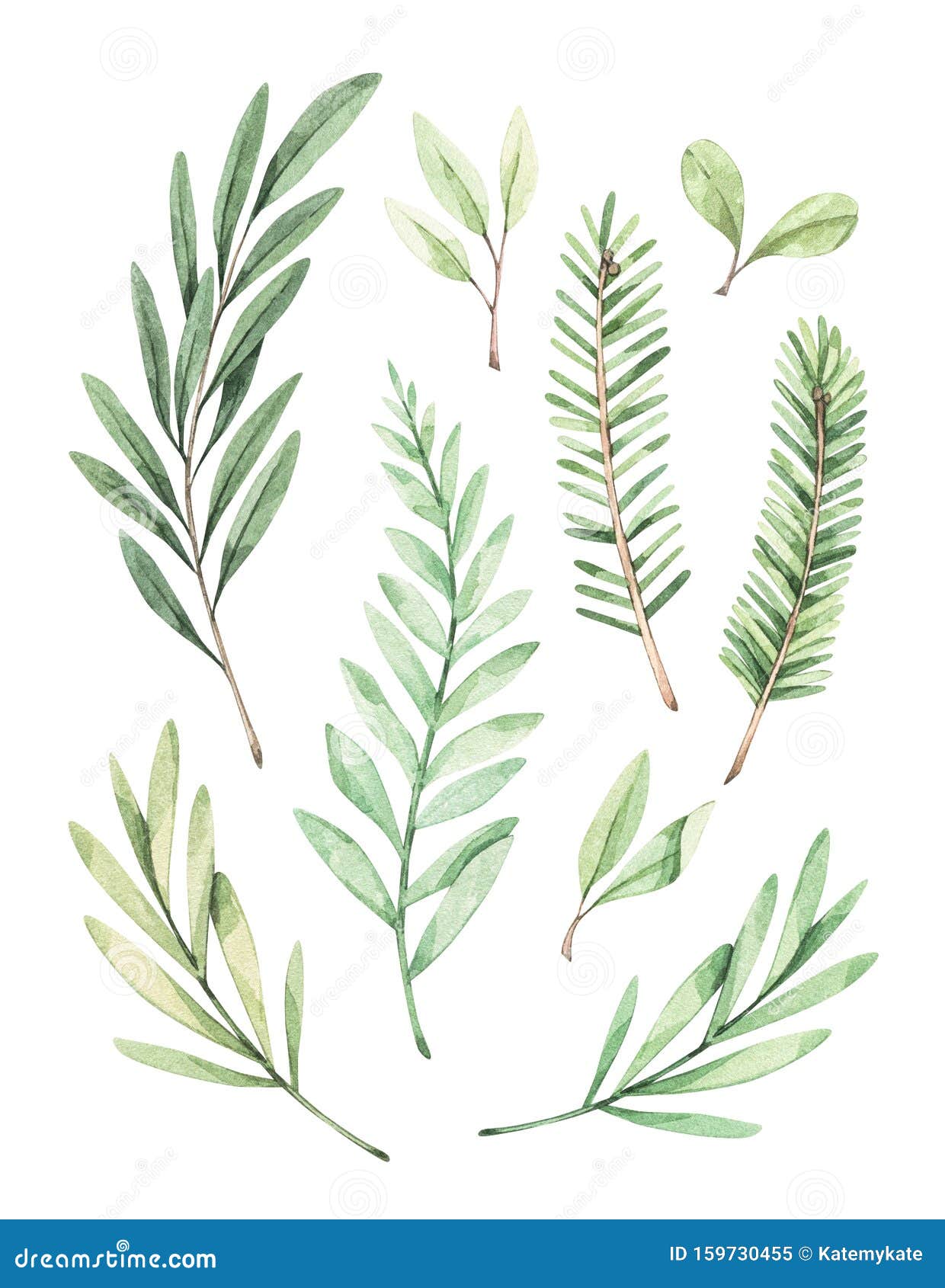 Free Winter Greenery Clipart Set · Pinspiry