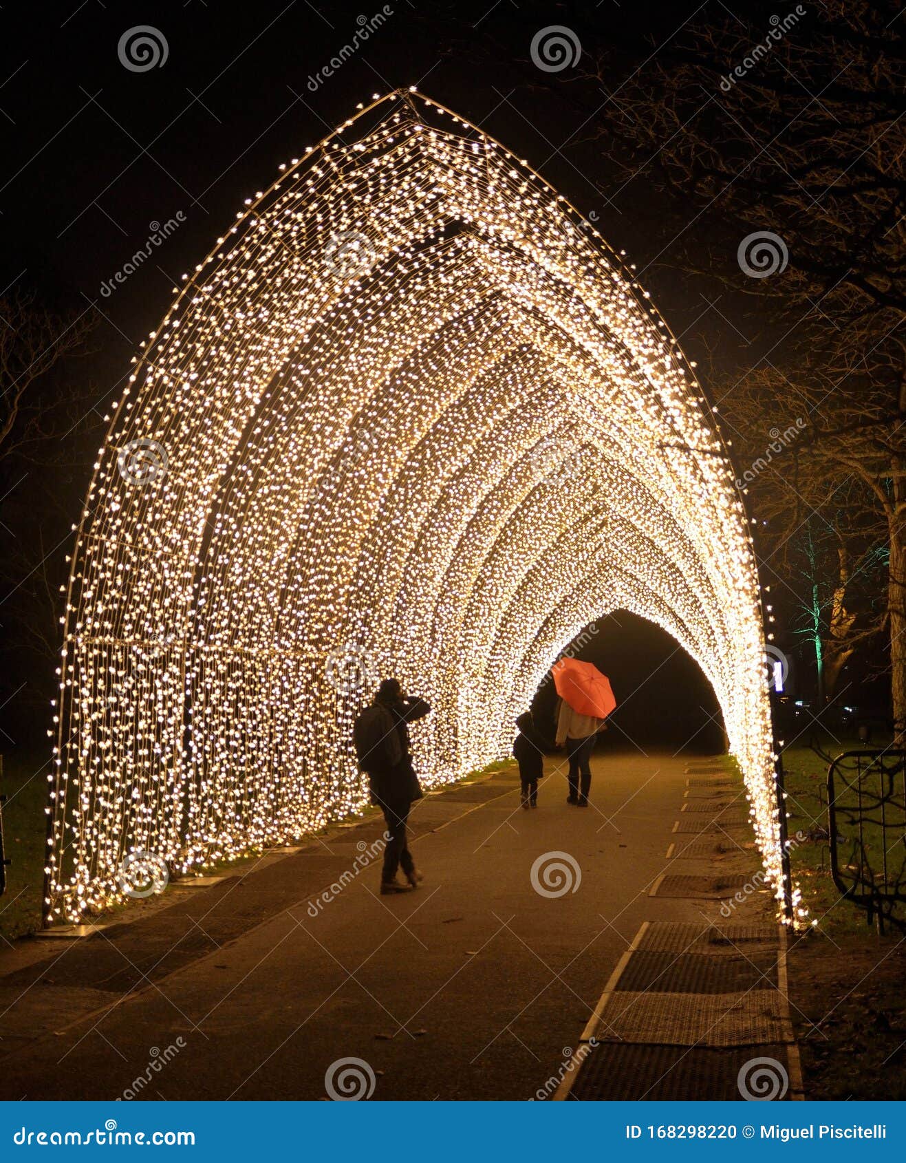 Christmas at Kew is a Magical Light Trail Across Kew Gardens Making the ...