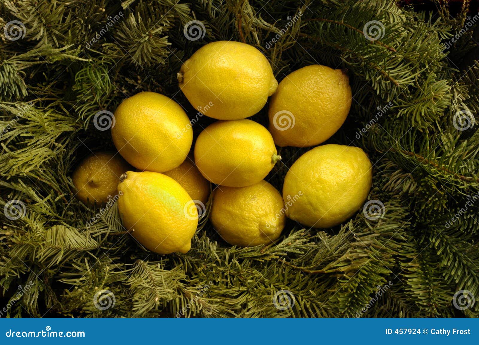 Christmas Lemons stock photo. Image of christmas, life 457924