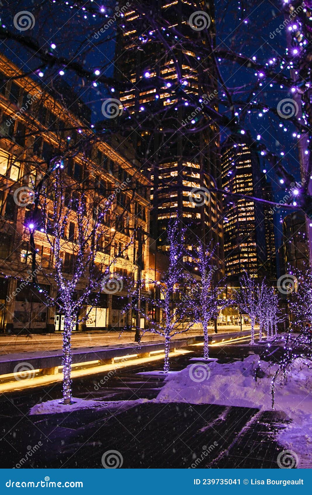 Christmas Light Decorations in Downtown Calgary Stock Image Image of