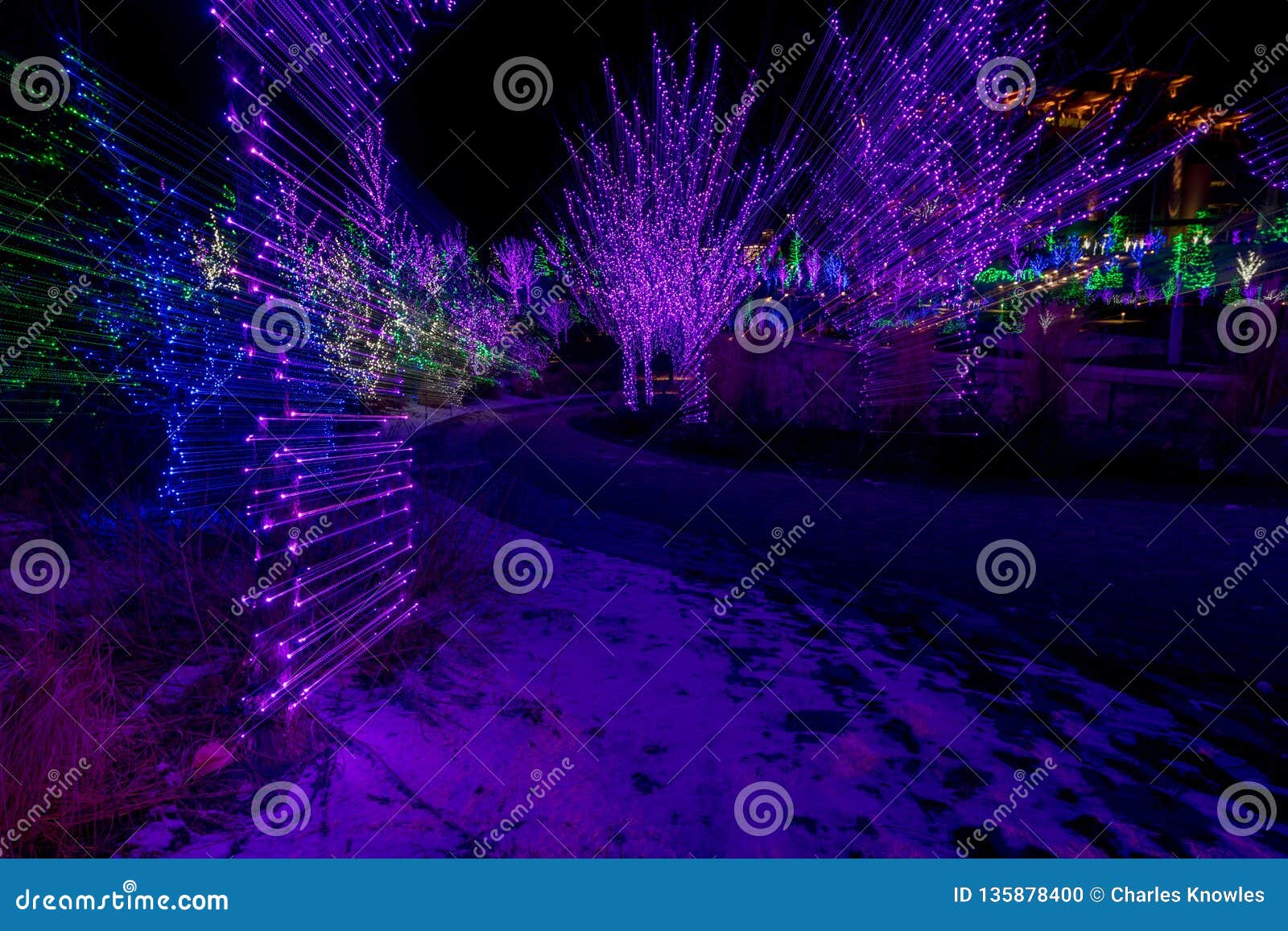 Christmas Light Glow Down a Walking Path at Night with Snow on the