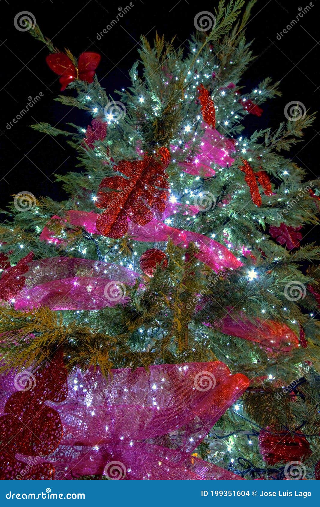 luces decorativas navideÃÂ±as en abeto, adornando y creando ambiente festivo