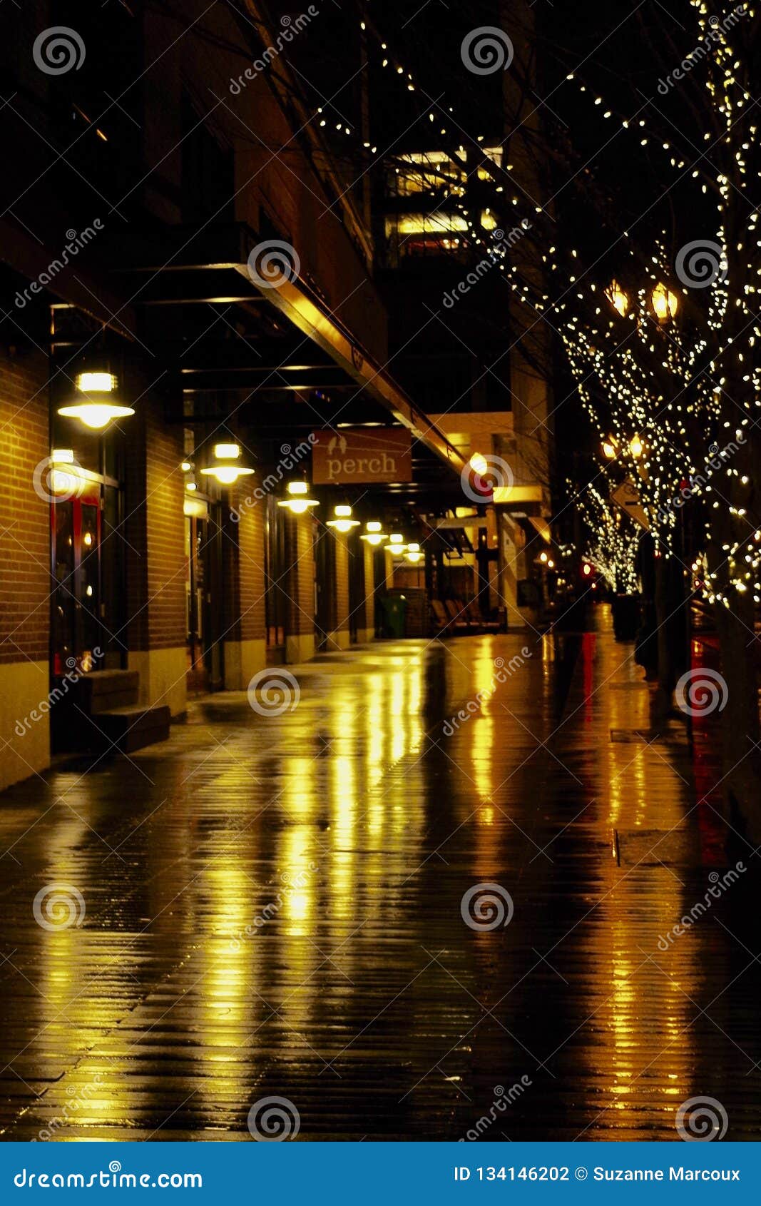 christmas lighting in portland