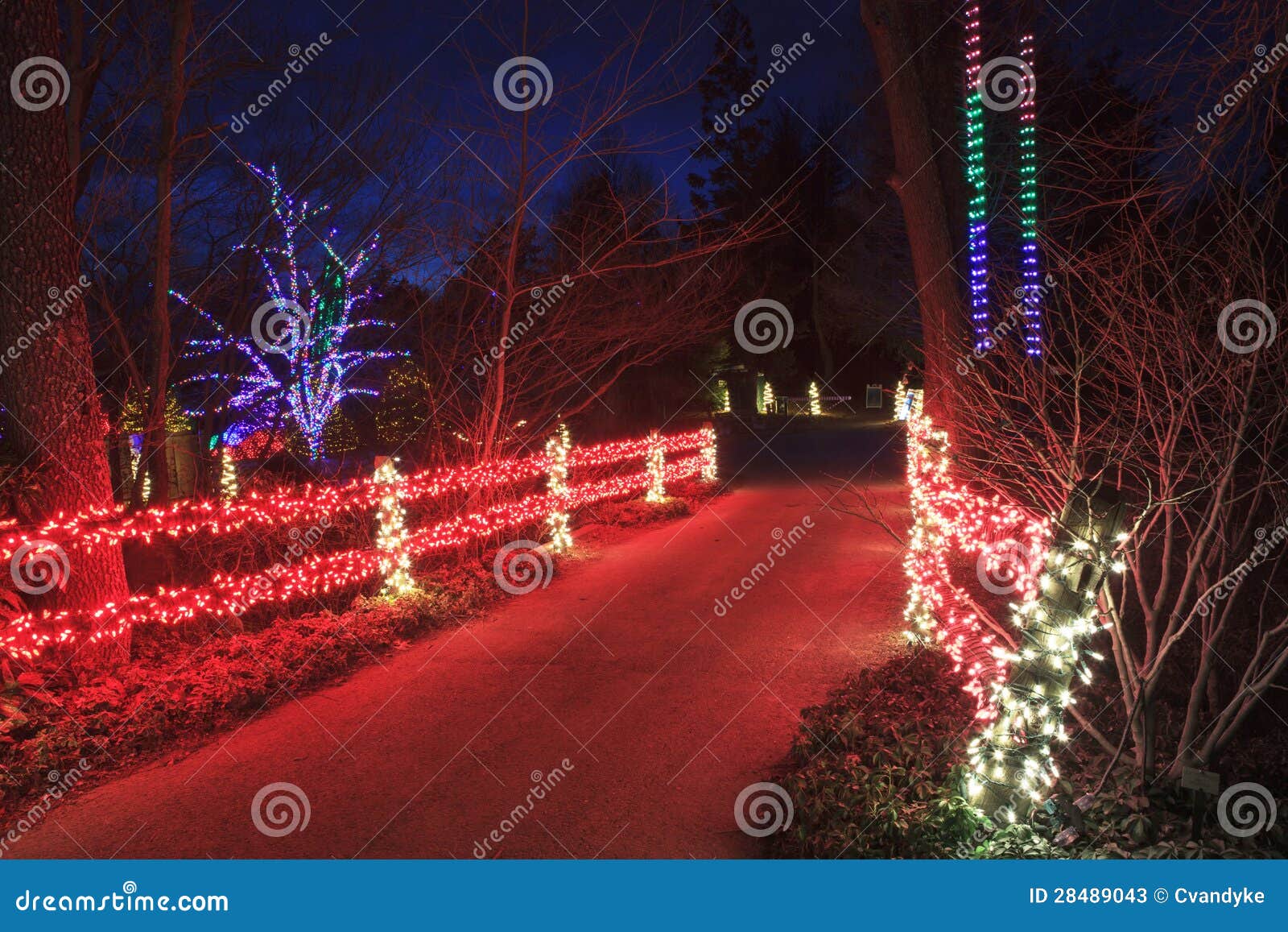 Christmas Lights Virginia Park Stock Image Image of exterior