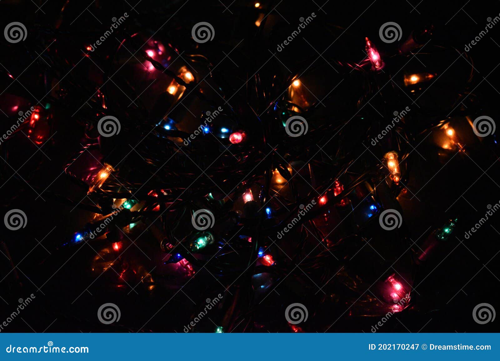 Christmas Lights on Black Background Stock Image Image of christmast