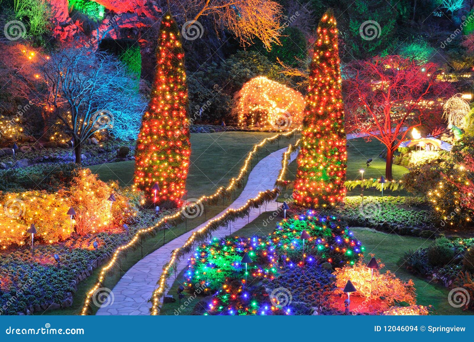 Christmas Lights In Butchart Gardens Stock Photo Image Of