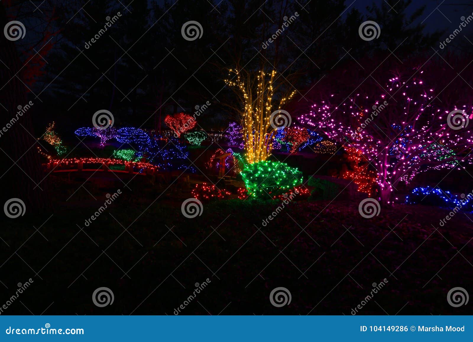 Christmas Lights on a Cold Winter Night Stock Photo Image of lights, colors 104149286