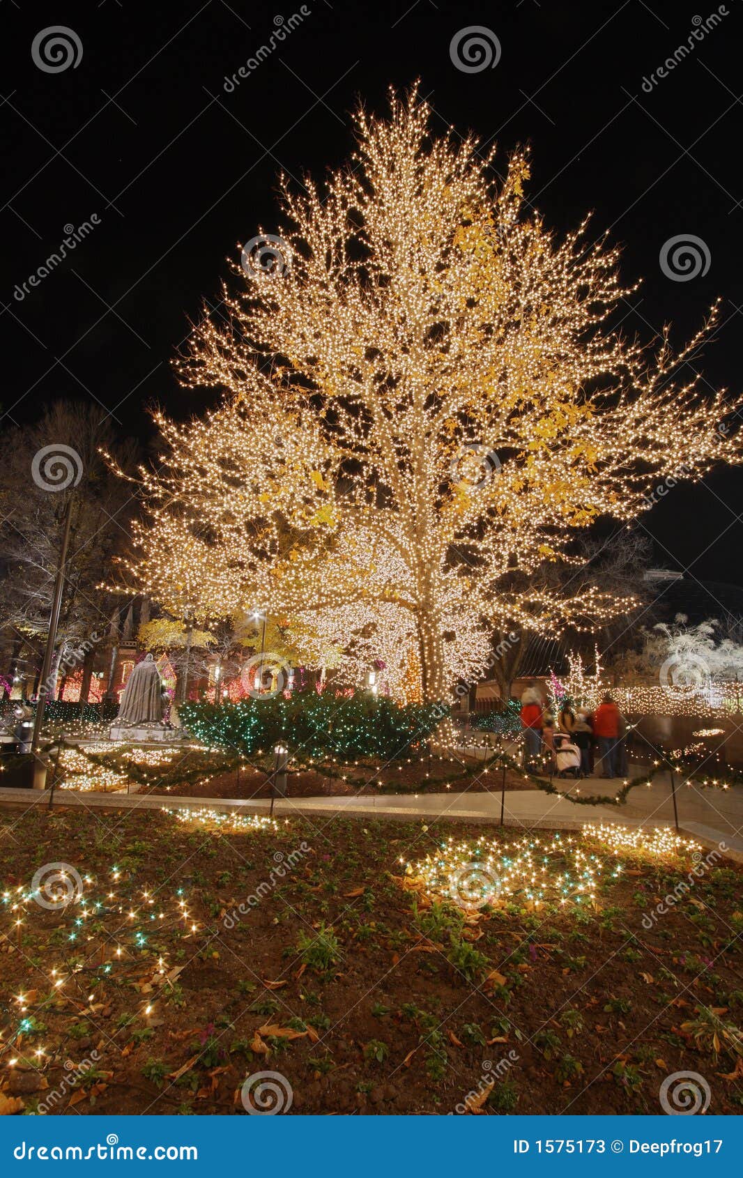 Christmas Lights on a Cottonwood Tree Stock Image Image of bulb, path