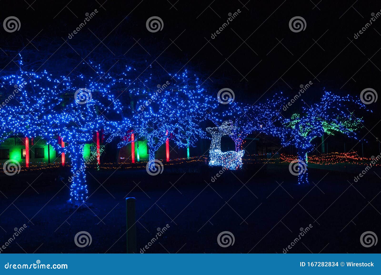 Christmas Lights at Detroit Zoo 11/24/2017 Editorial Stock Image