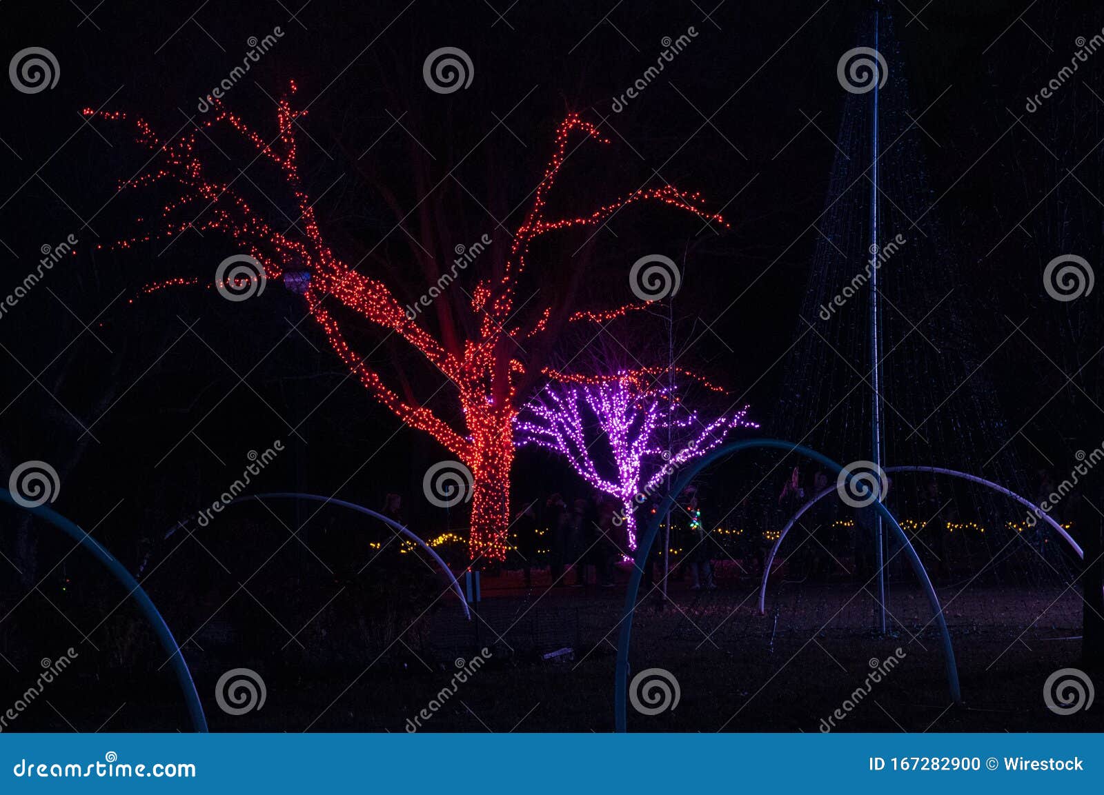 Christmas Lights at Detroit Zoo 11/24/2017 Editorial Image Image of