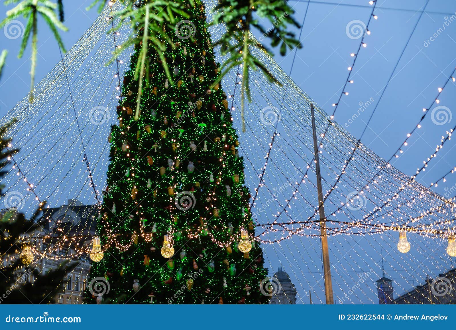 Christmas Lights Hanging in a Tree Stock Photo Image of tree, festive