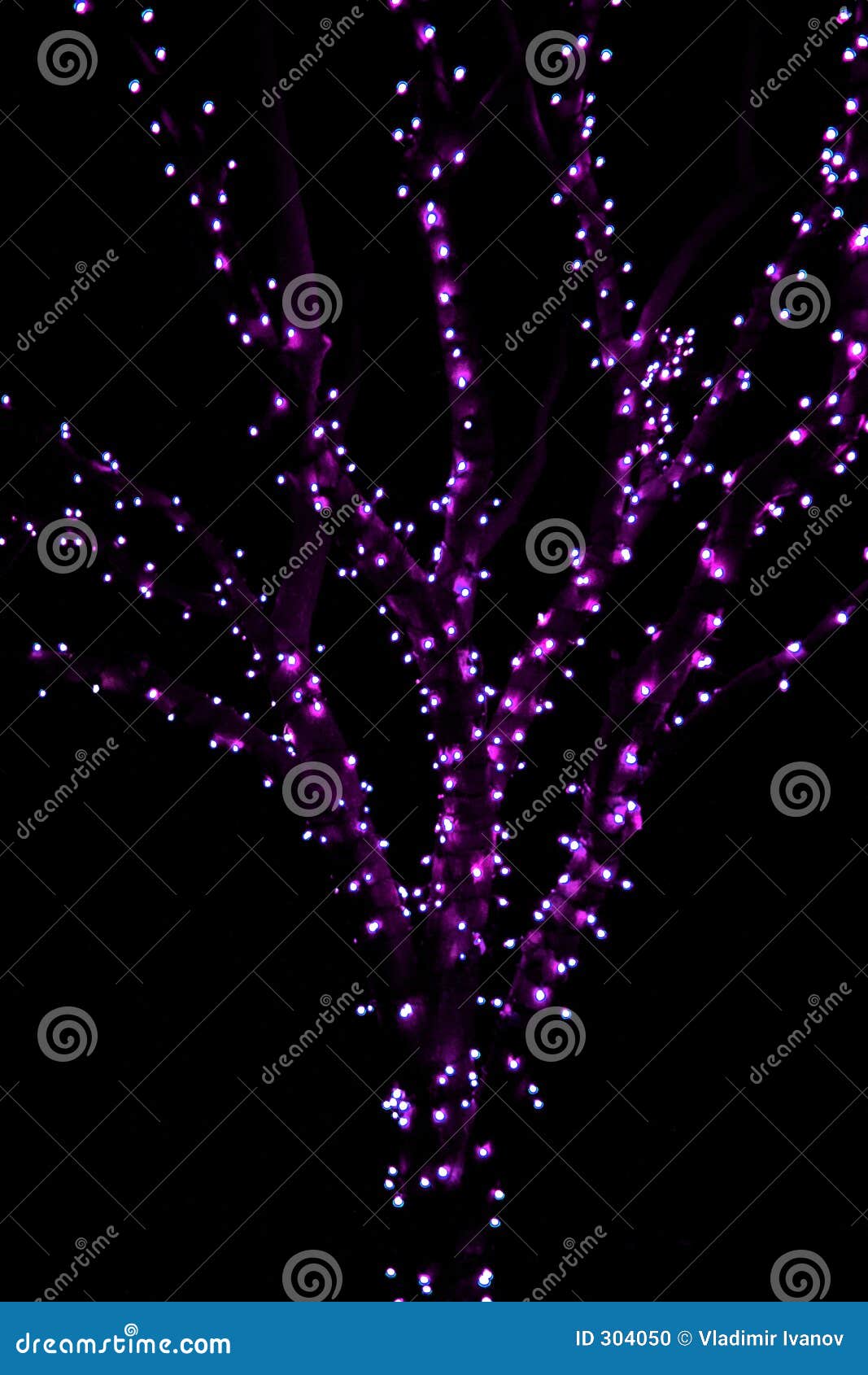 Christmas Lights Purple Tree Stock Photo Image of decorate