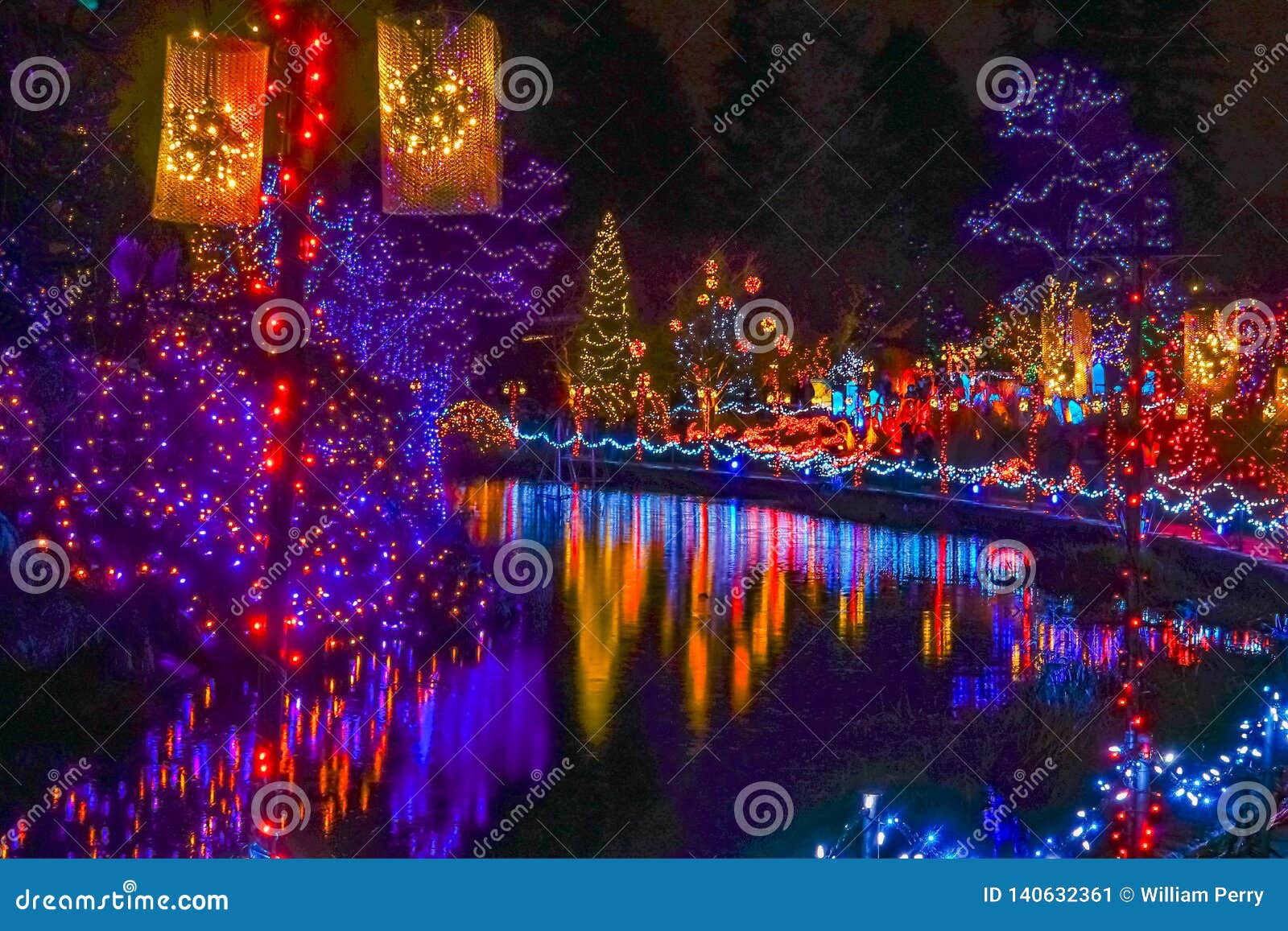 Christmas Lights Reflection Van Dusen Garden Vancouver British Columbia