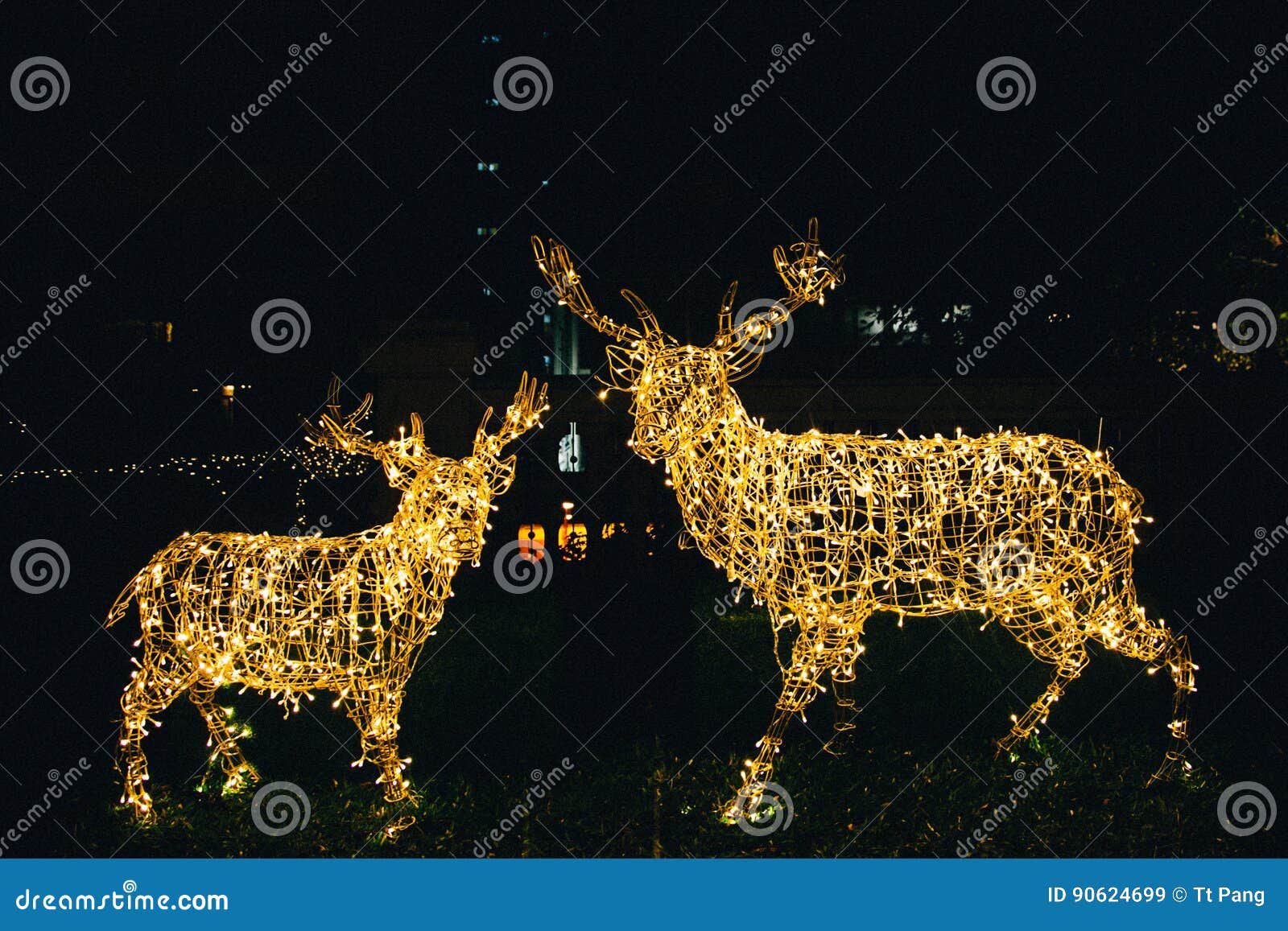 Christmas Lights Reindeer Deer Stock Image Image of decoration, holiday 90624699