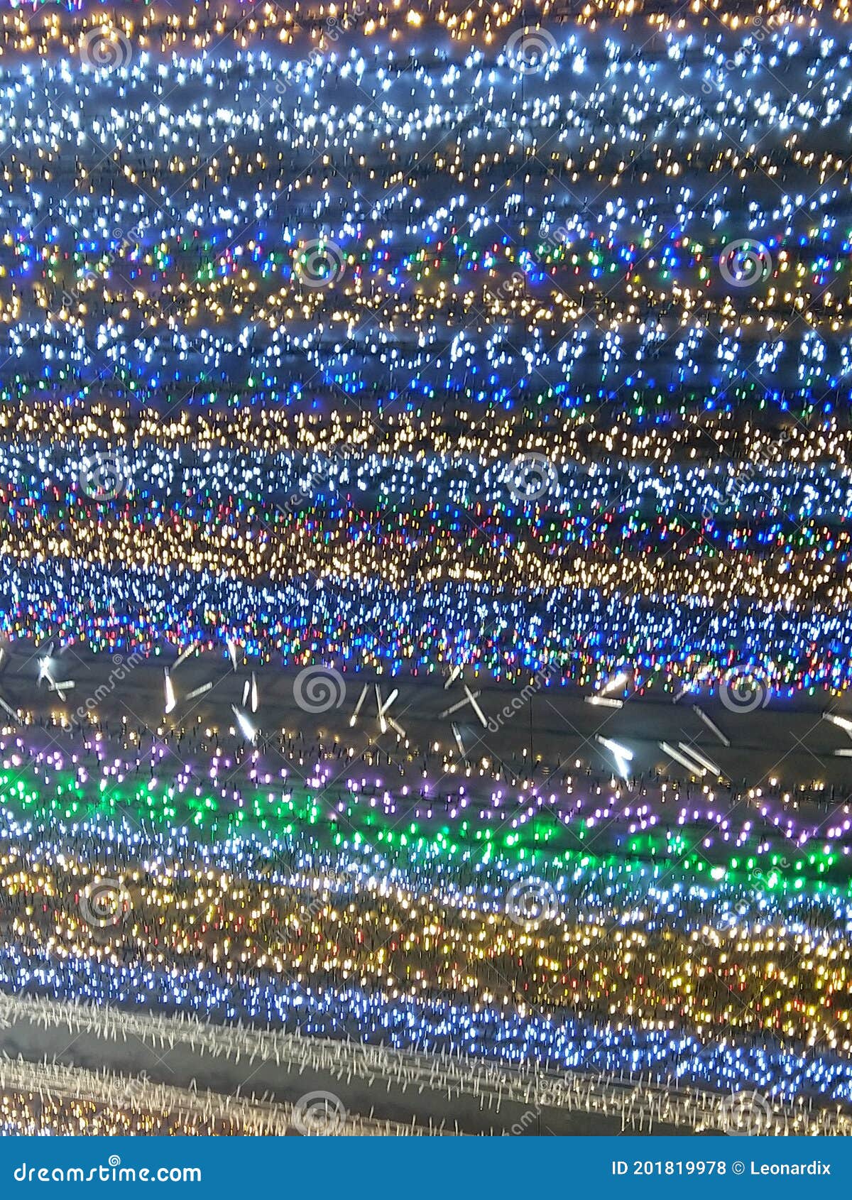 Christmas Lights in the Shop Stock Photo Image of arena, christmas