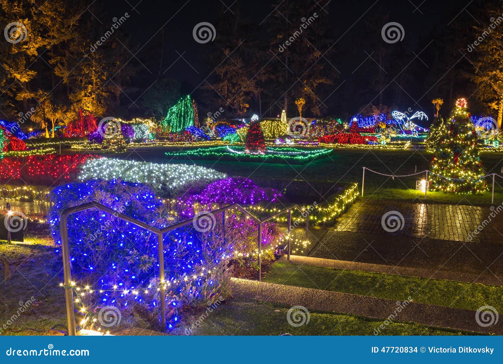 Christmas Lights stock photo. Image of decoration, historical 47720834