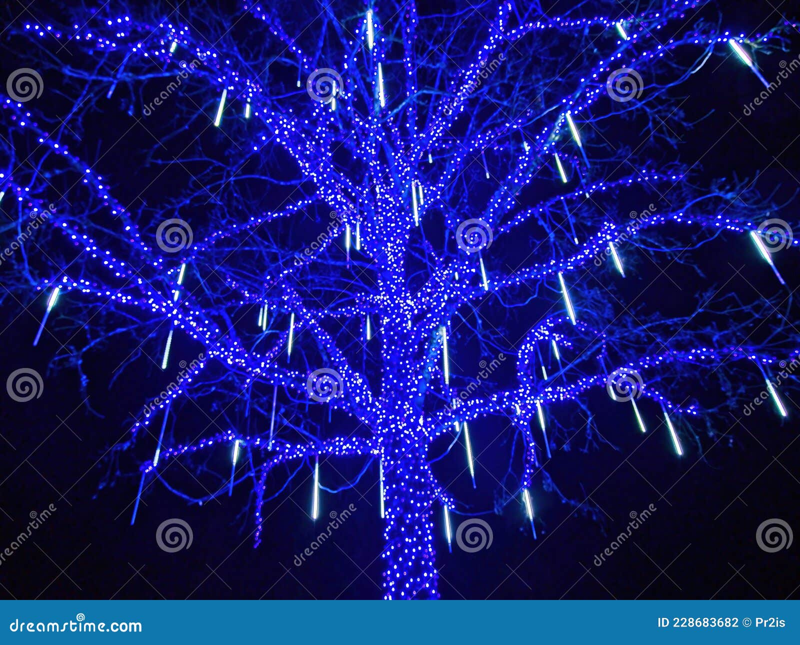 Christmas Lights on the Tree Stock Photo Image of light, ornament