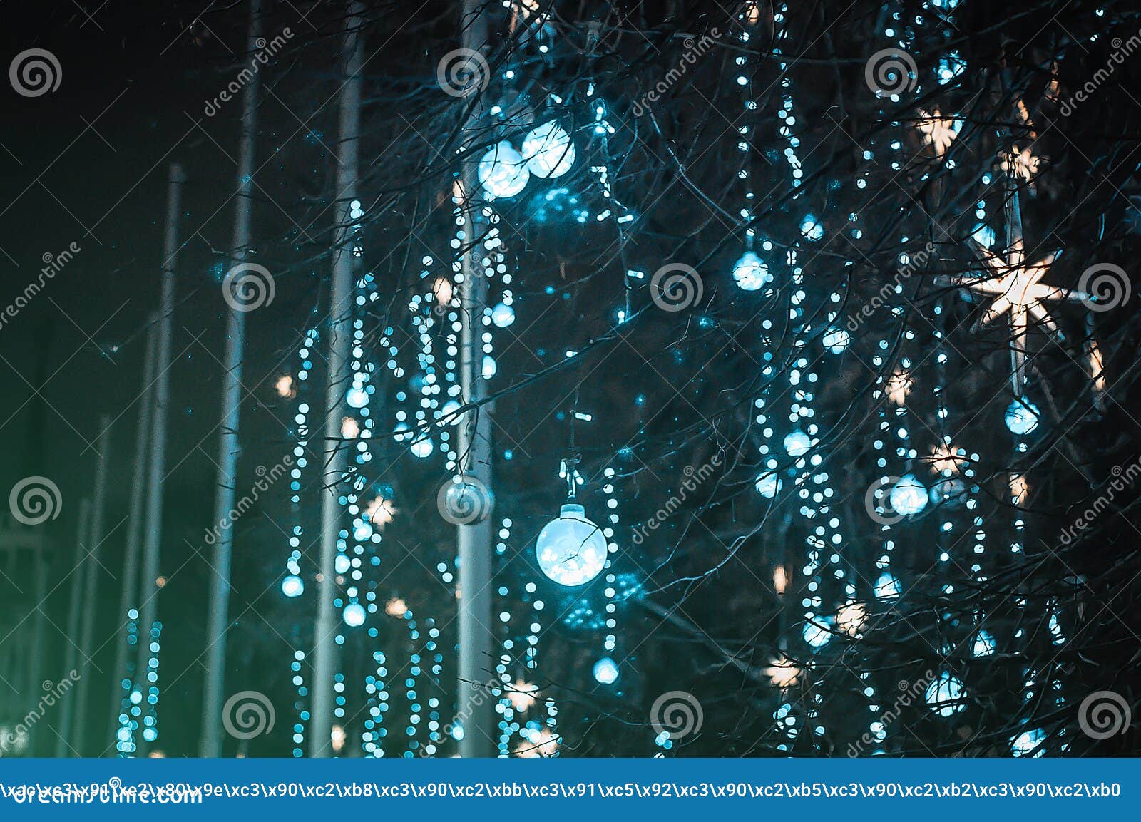 Christmas Lights on Tree Branches in a City Park, Toned Stock Image