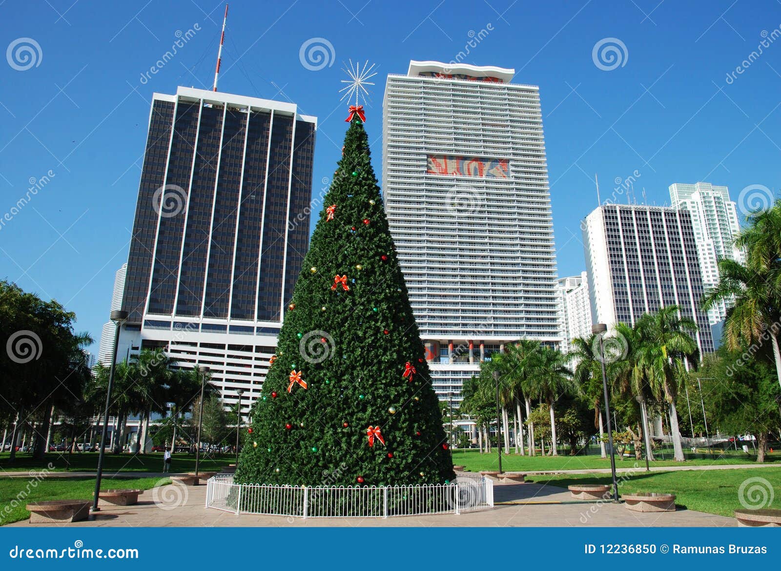 Christmas in Miami stock photo. Image of florida, miami  12236850