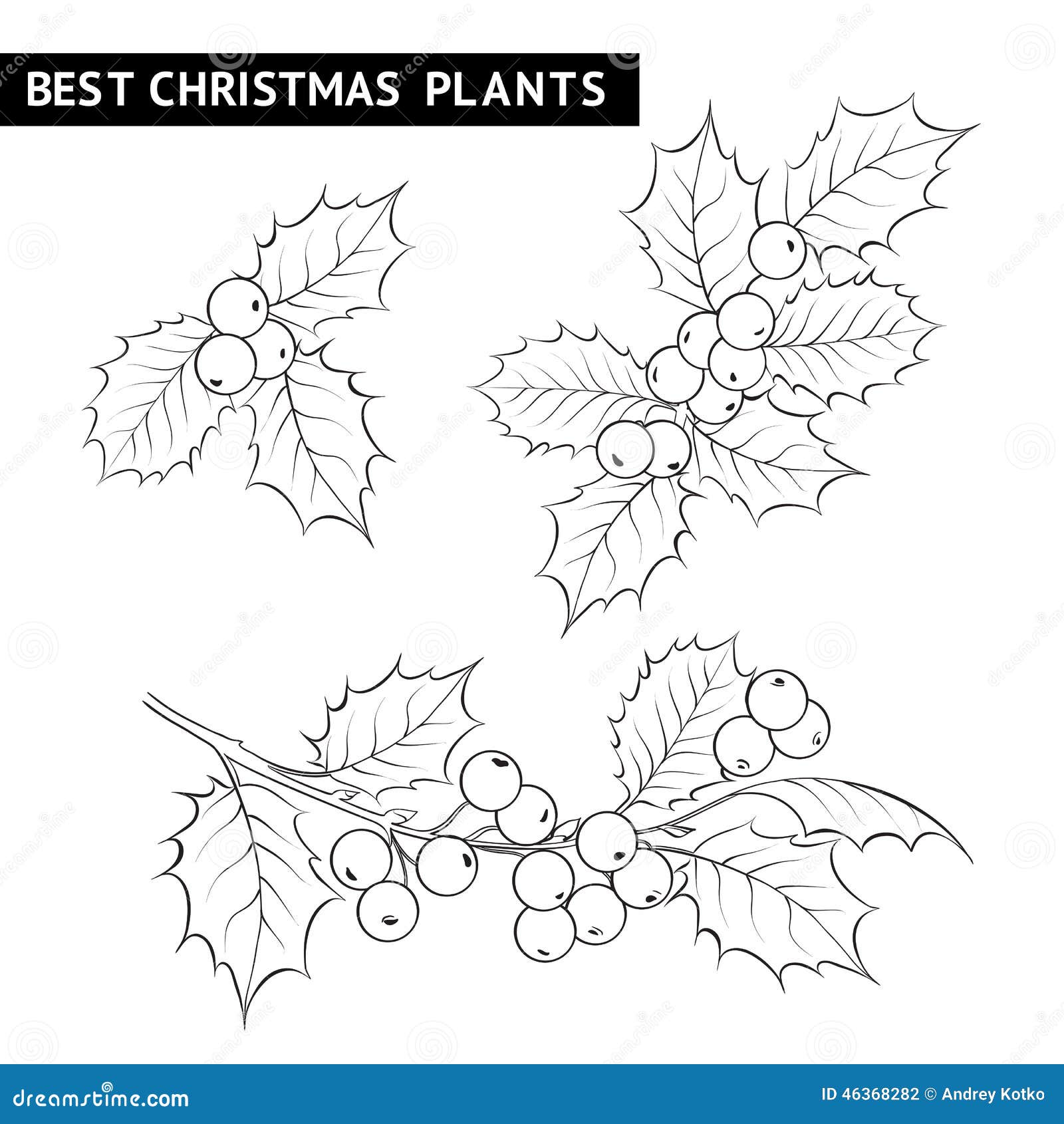 Christmas Mistletoe Branch Drawing. Stock Vector - Image: 46368282