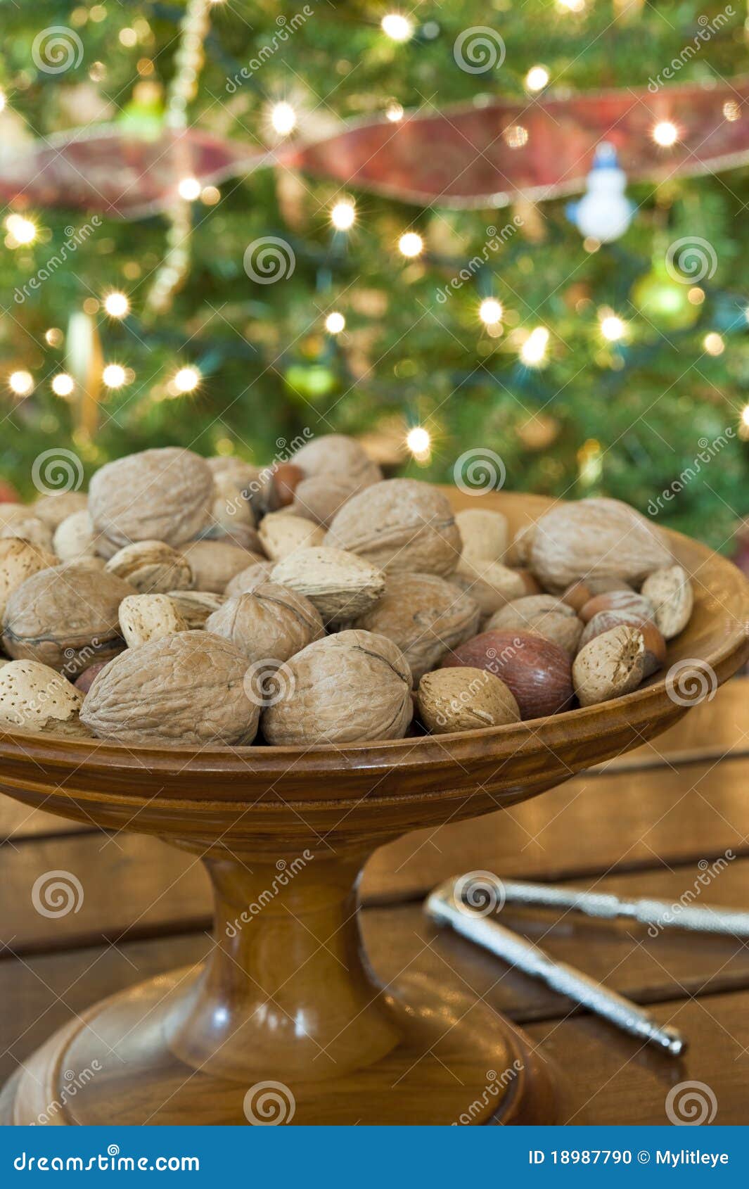 Christmas Nuts stock photo. Image of closeup, holiday 18987790