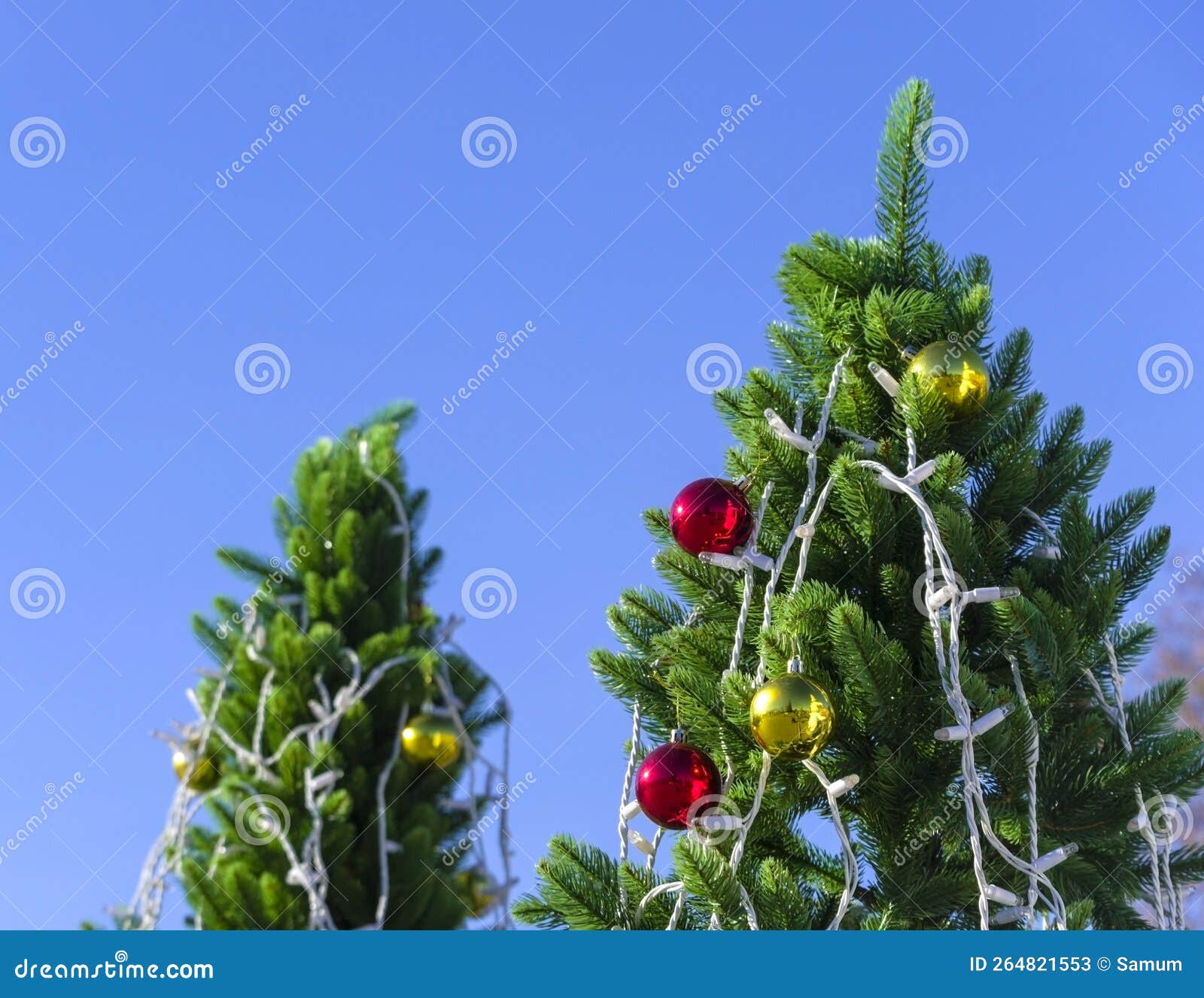 Christmas Ornaments on Tree Stock Image Image of ornamental, colorful