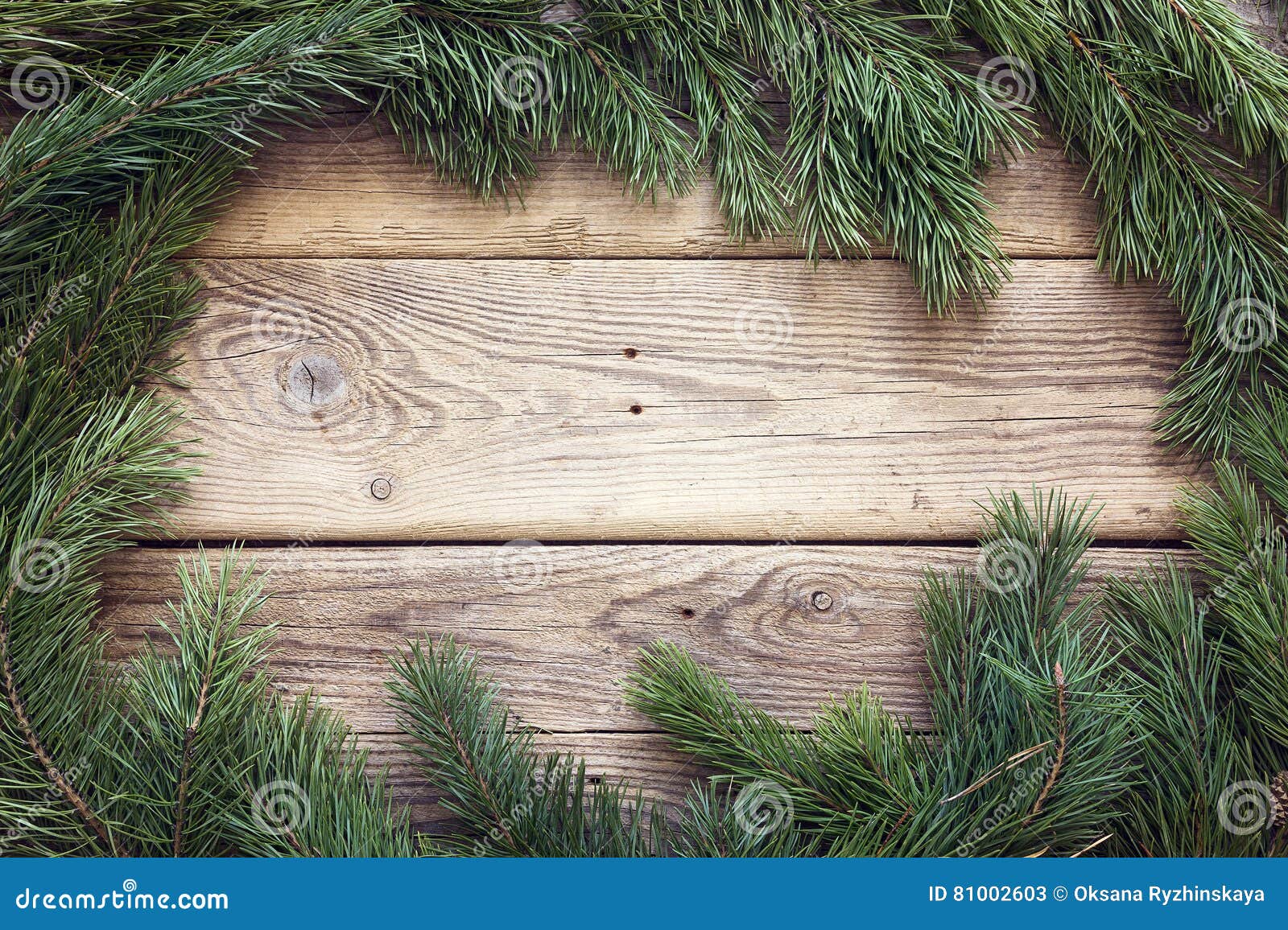 Christmas Pine Tree Branches on Old Wooden Board. Space for Text Stock ...