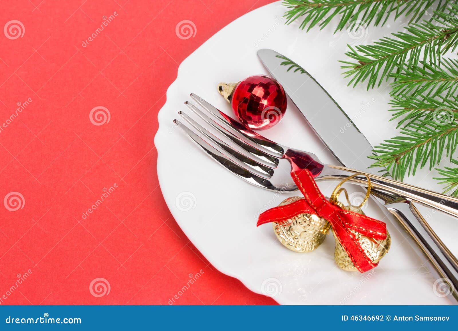 Christmas plate stock photo. Image of dinner, holiday - 46346692