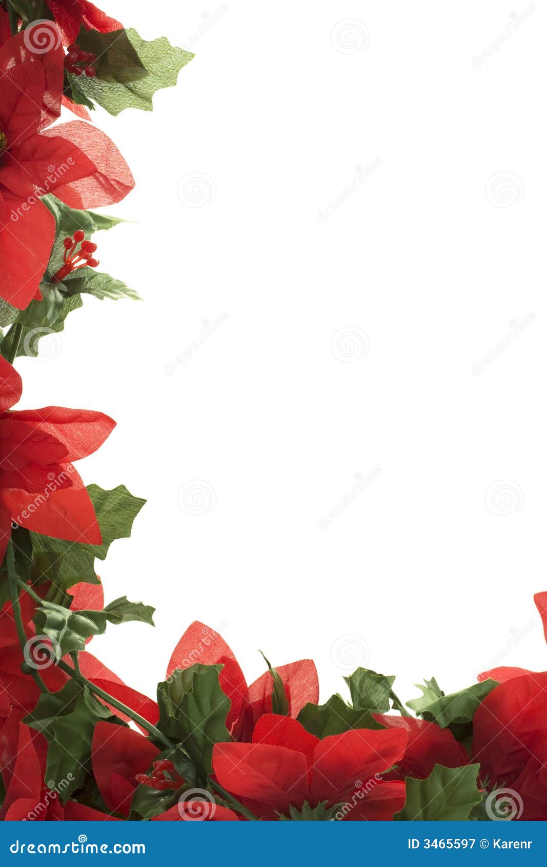 Poinsettia border isolated on a white background.