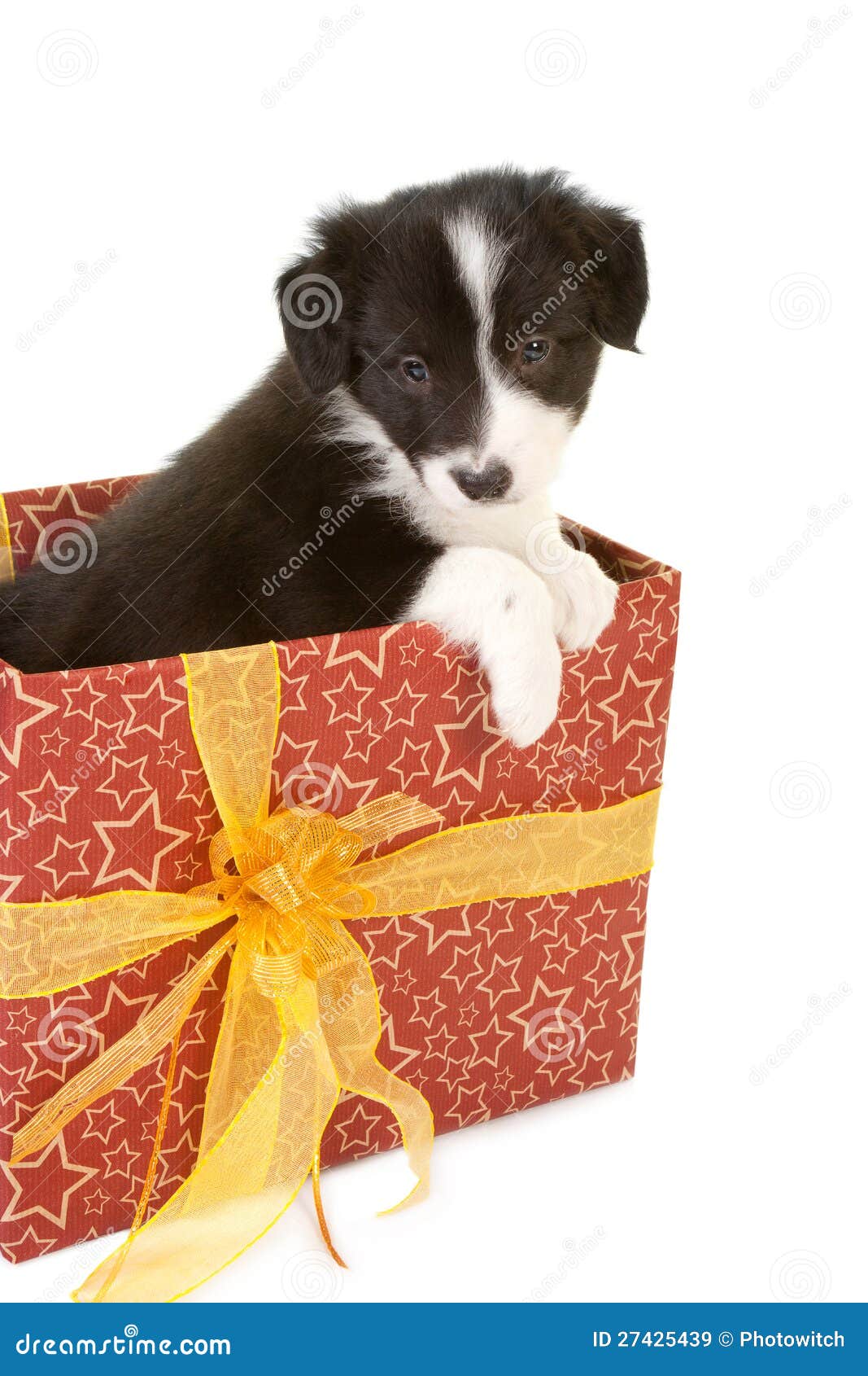 Christmas puppy present Stock Photo by ©Hannamariah 11105970