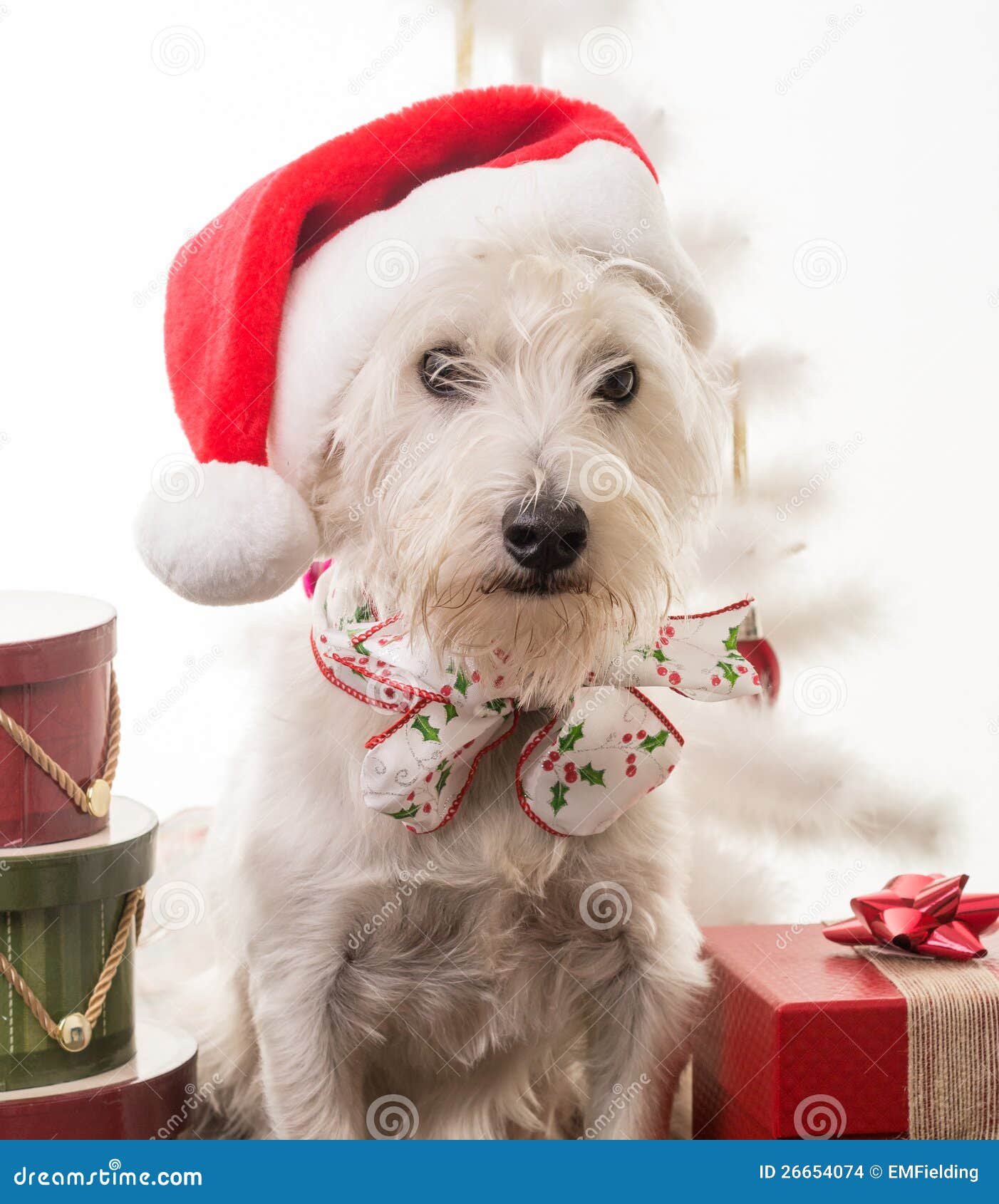 christmas clipart dogs - photo #49