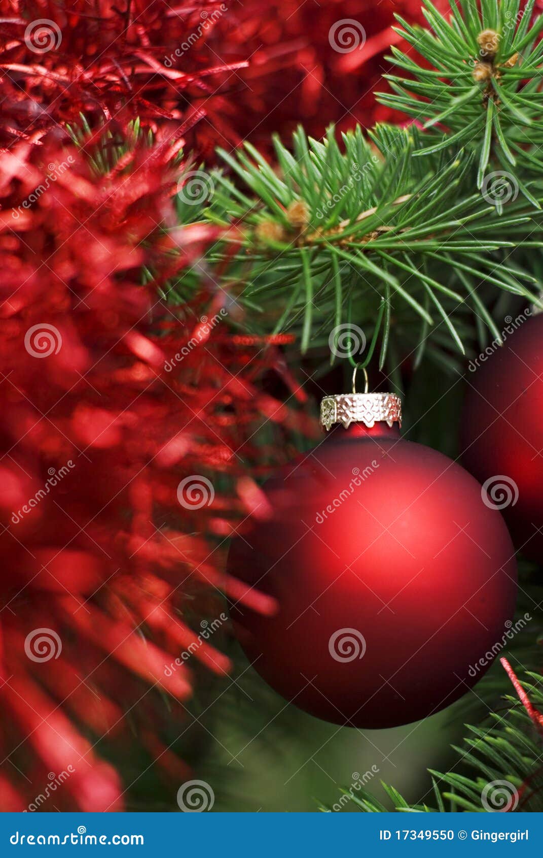 Christmas red ball on tree stock photo. Image of ornaments 17349550