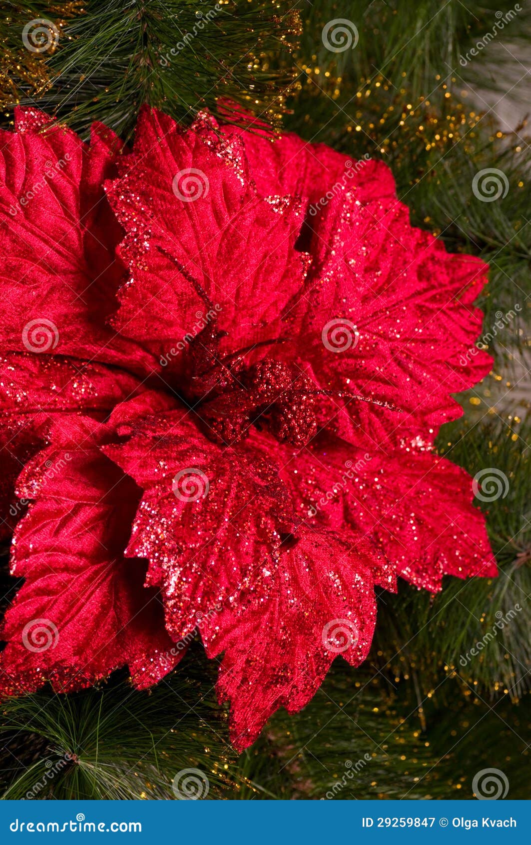 Christmas red flower stock image. Image of jolly, decor 29259847