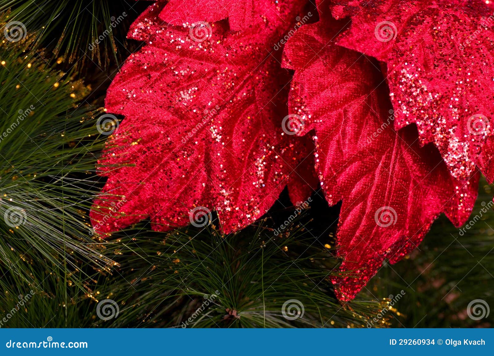 Christmas red flower stock photo. Image of jolly, illuminated 29260934