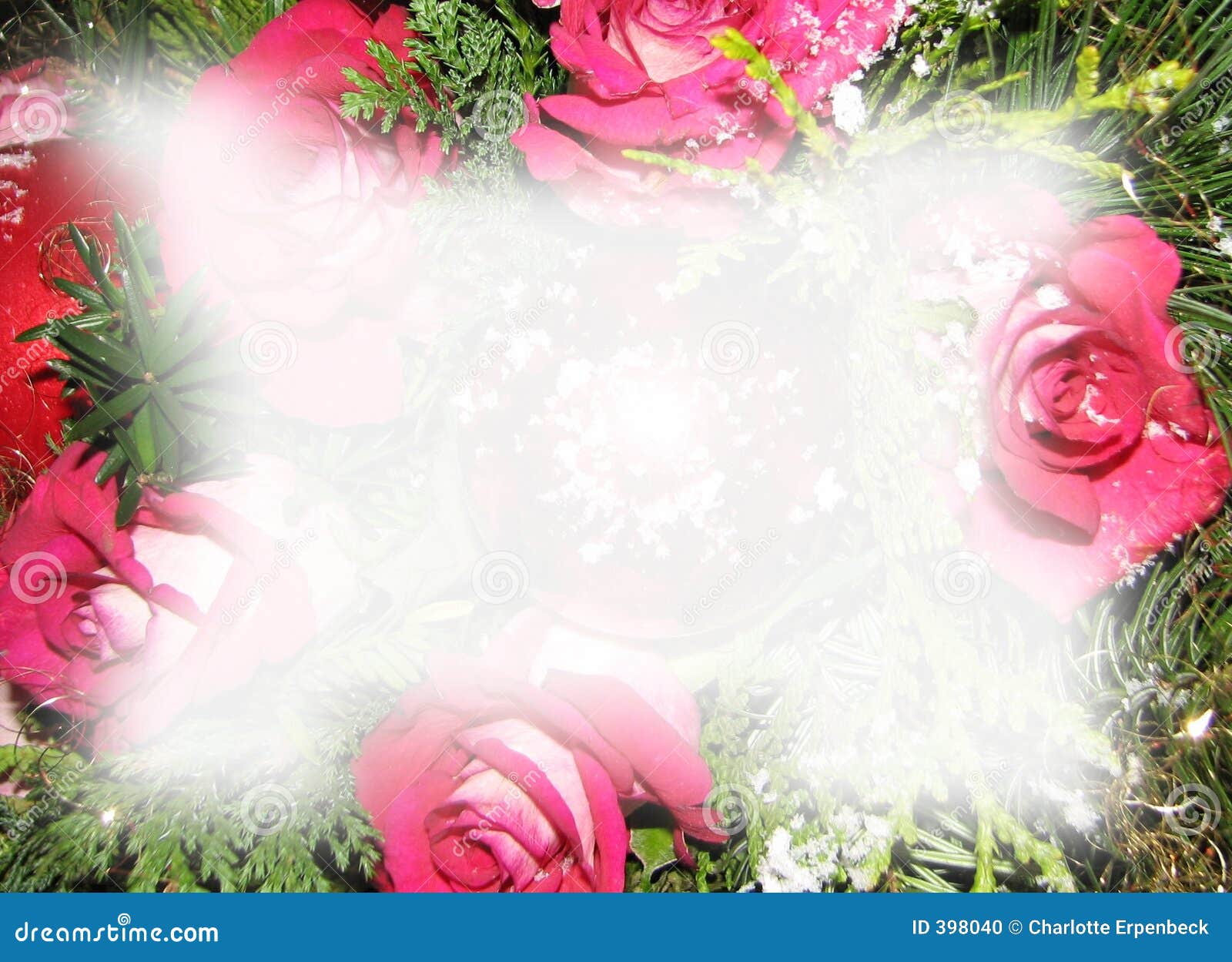 Christmas Roses Background Stock Illustration Image Of Roses 398040