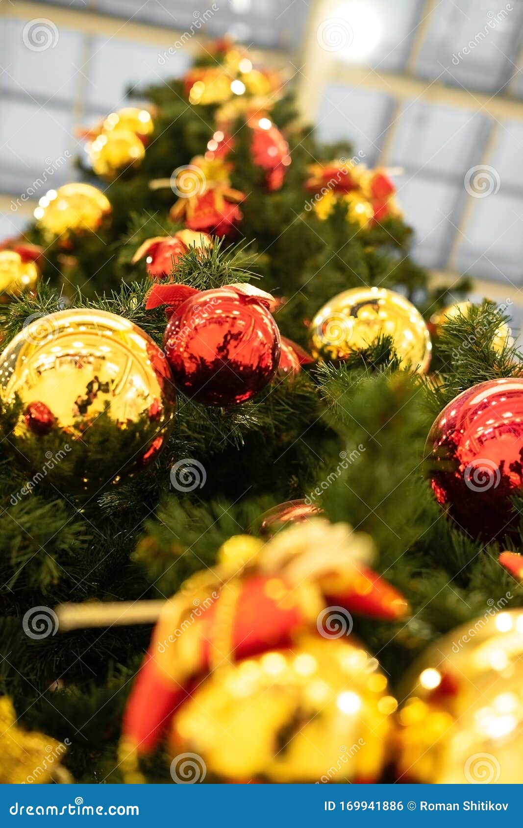 Christmas Round Mirror Ball Hanging on a Green Christmas Tree. Stock