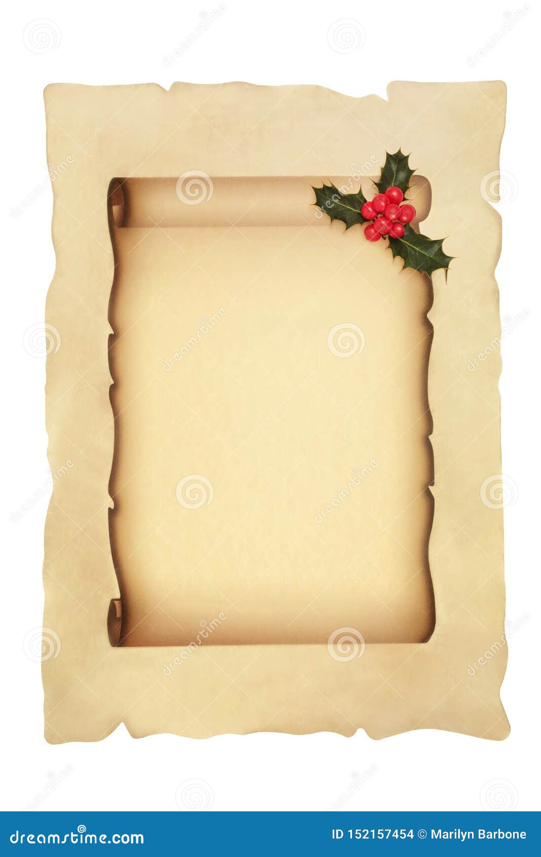Christmas Scroll with Holly Stock Photo - Image of nostalgia, manuscript:  152157454
